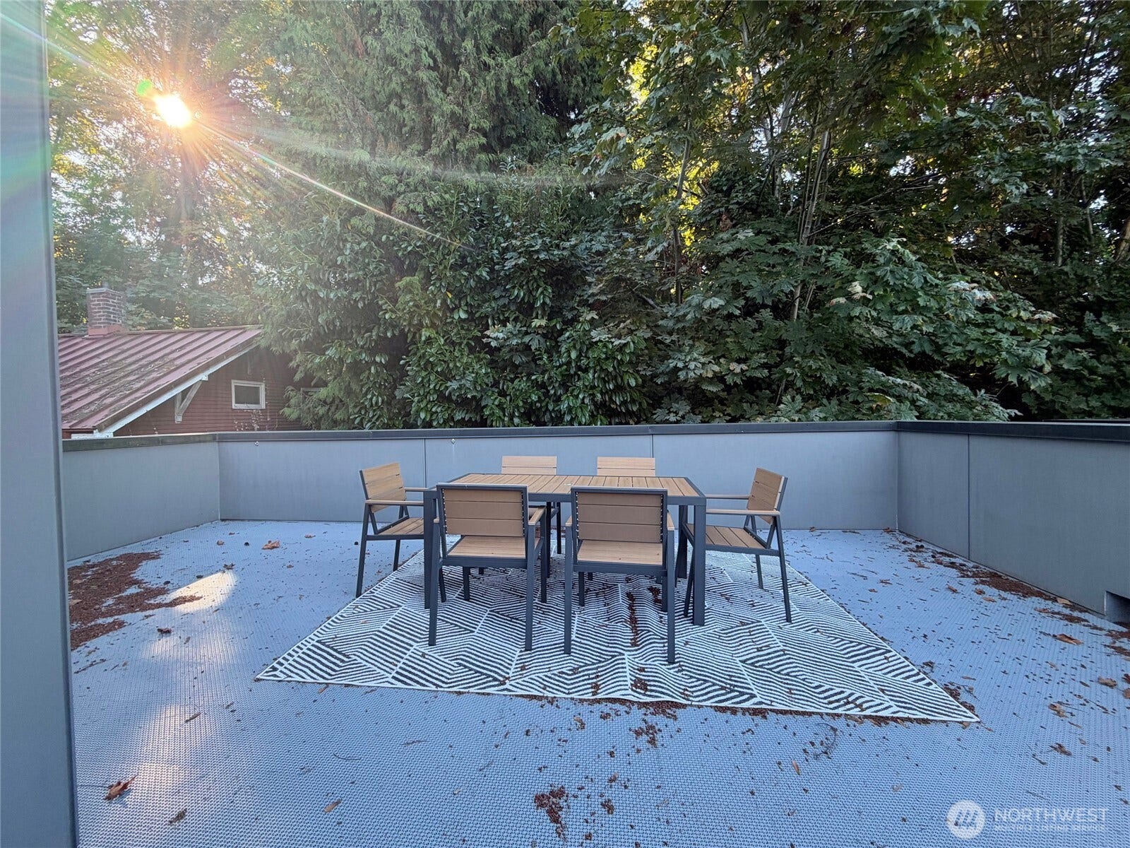 2617 3rd Avenue W, Seattle, WA 98119 Roof top deck