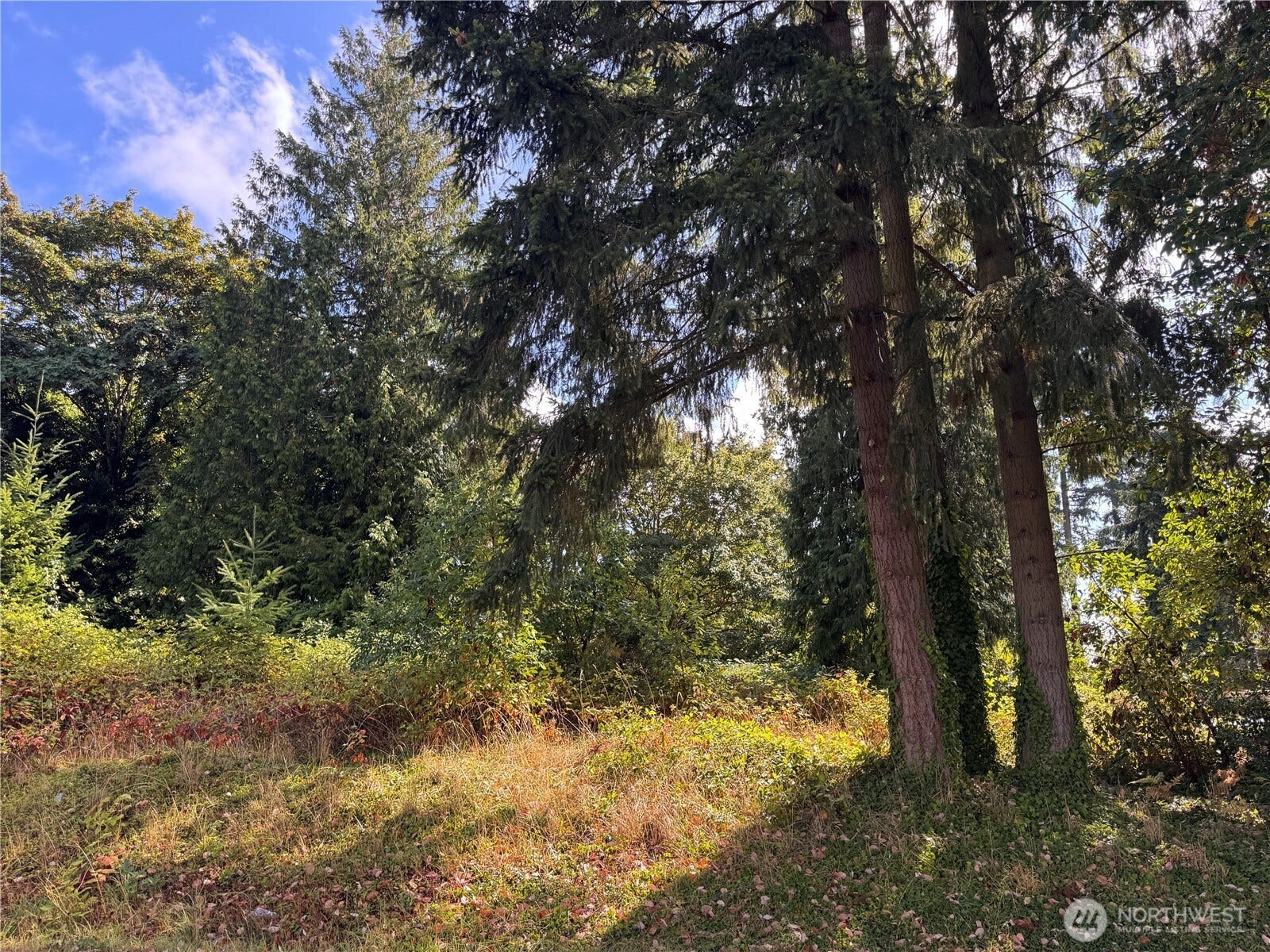 37728 38th Avenue S, Auburn, WA 98001 Homesite