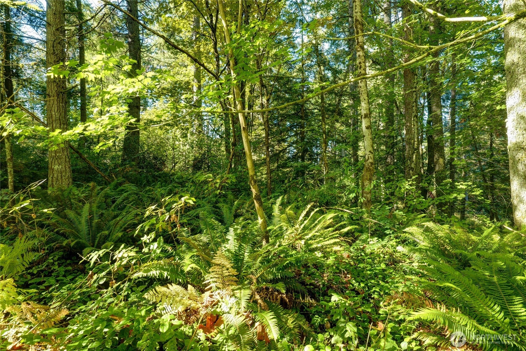 37000 SE 93rd Place, Snoqualmie, WA 98065 37000 SE 93rd Place, Snoqualmie, WA 98065