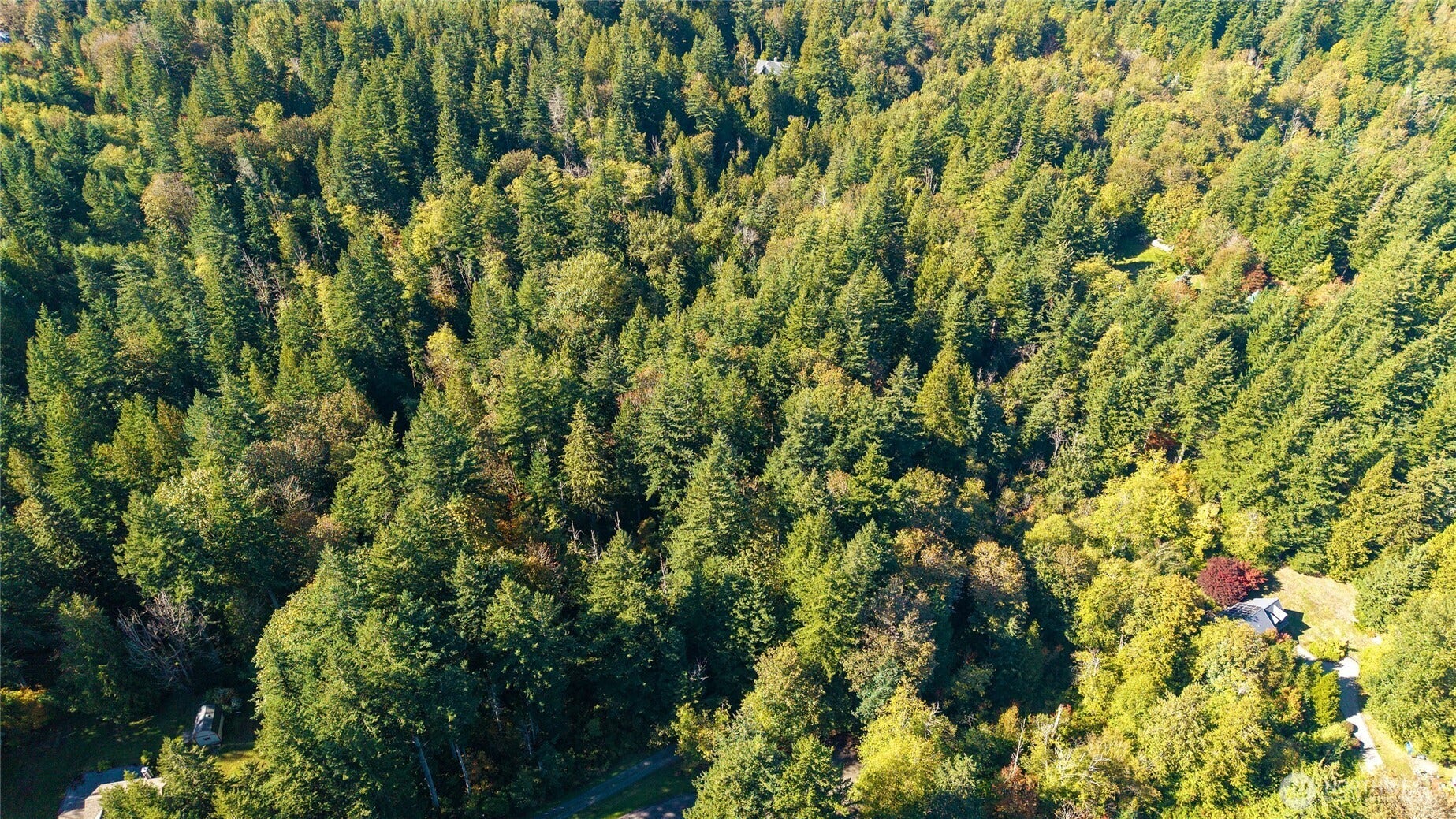 37000 SE 93rd Place, Snoqualmie, WA 98065 37000 SE 93rd Place, Snoqualmie, WA 98065