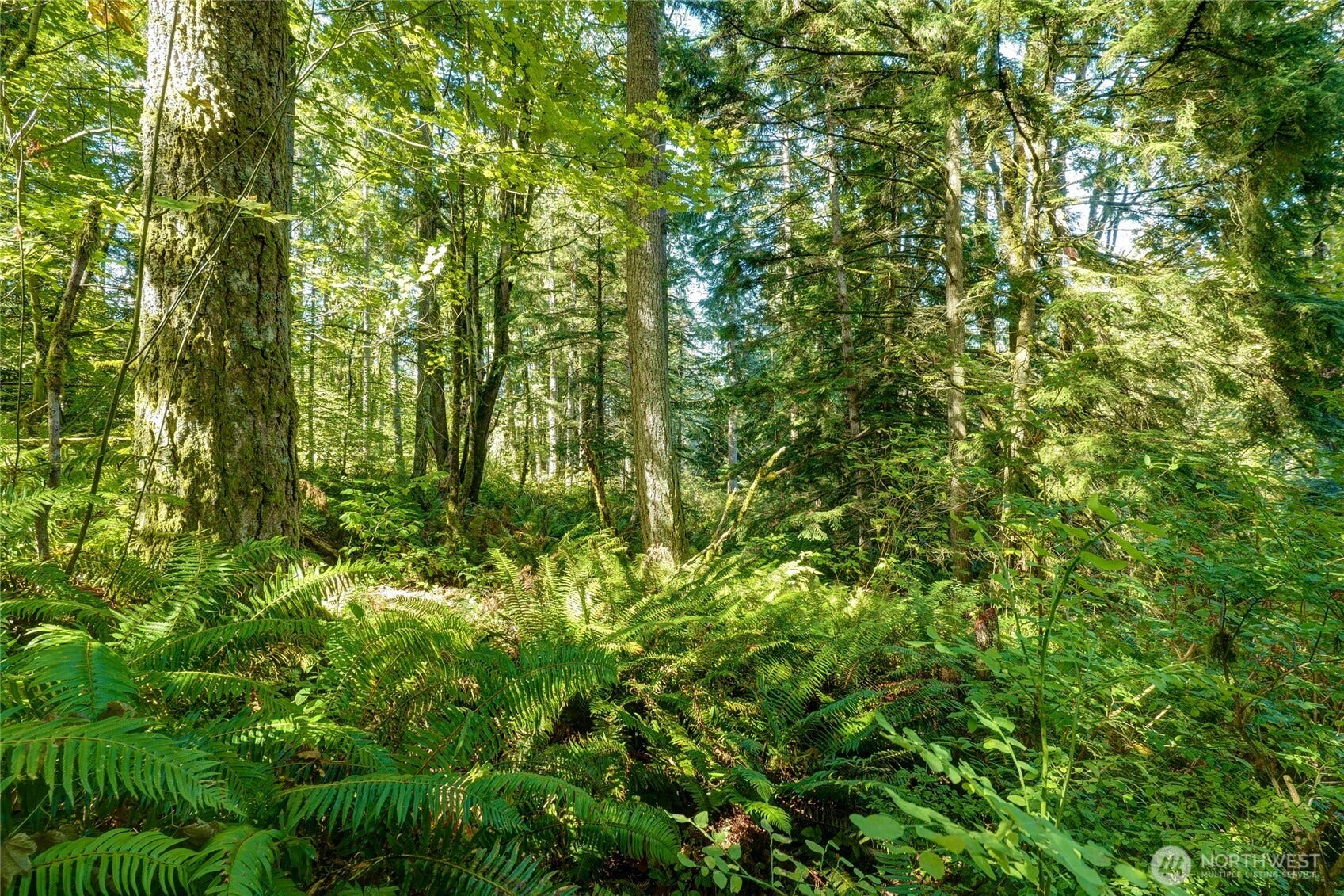 37000 SE 93rd Place, Snoqualmie, WA 98065 37000 SE 93rd Place, Snoqualmie, WA 98065