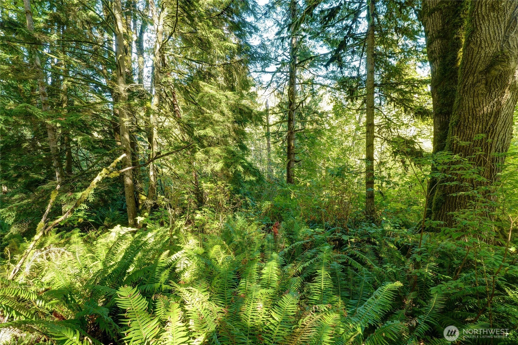 37000 SE 93rd Place, Snoqualmie, WA 98065 37000 SE 93rd Place, Snoqualmie, WA 98065