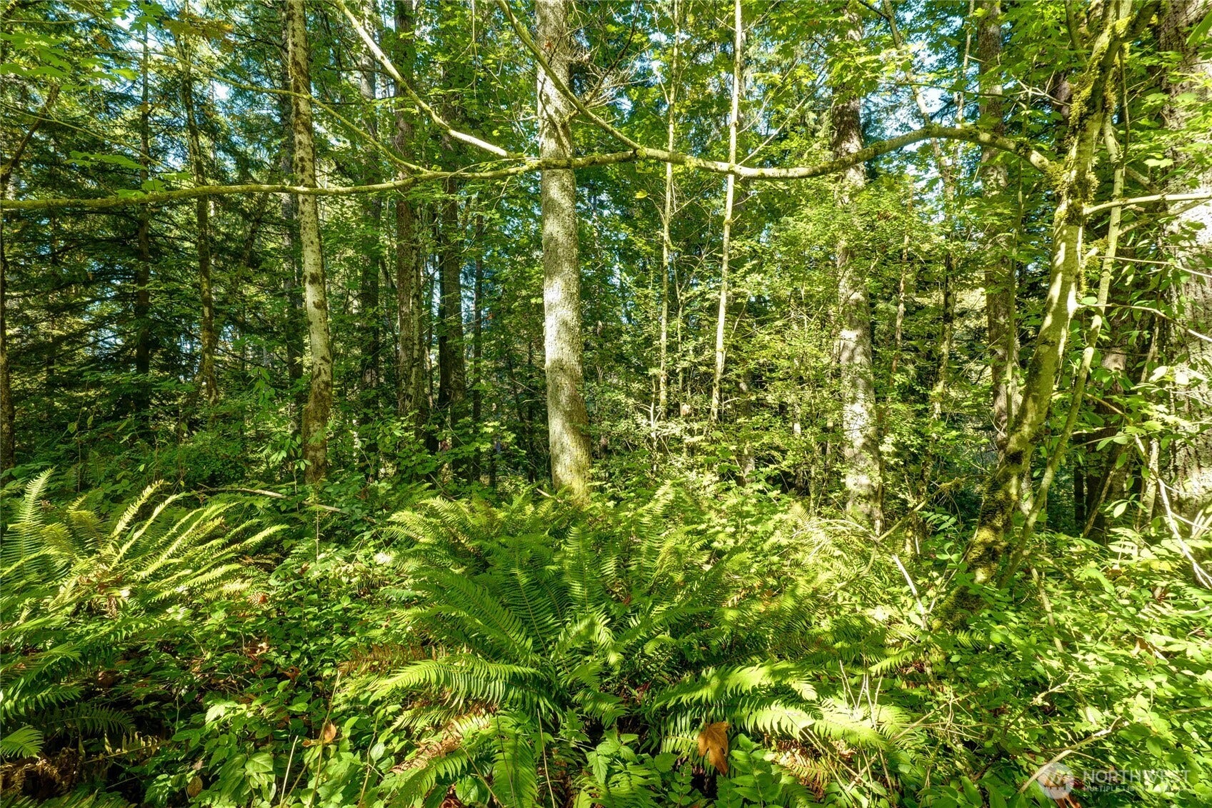 37000 SE 93rd Place, Snoqualmie, WA 98065 37000 SE 93rd Place, Snoqualmie, WA 98065