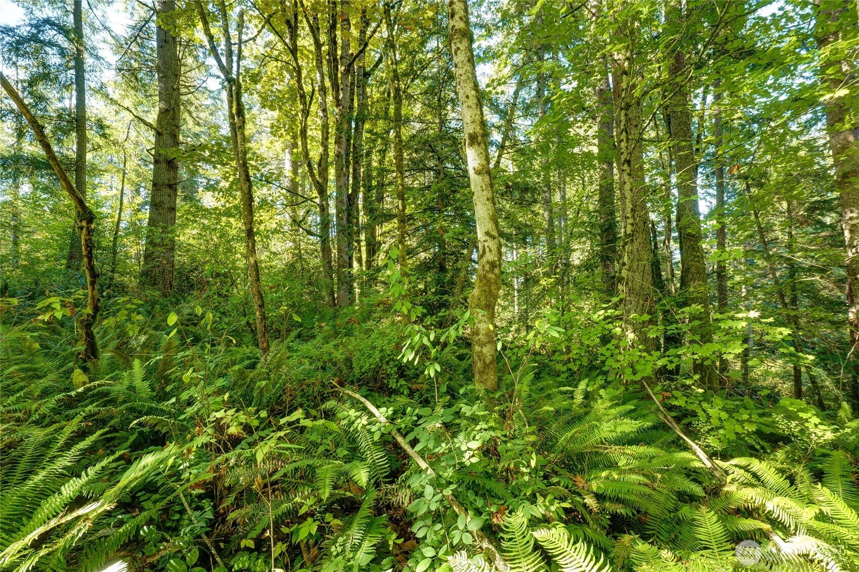 37000 SE 93rd Place, Snoqualmie, WA 98065 37000 SE 93rd Place, Snoqualmie, WA 98065