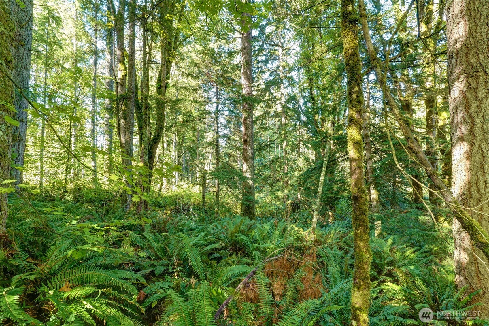 37000 SE 93rd Place, Snoqualmie, WA 98065 37000 SE 93rd Place, Snoqualmie, WA 98065