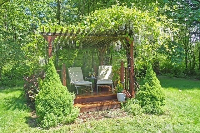 23924 SE 186th Street, Maple Valley, WA 98038 Springtime with the wisteria in bloom! A new deck top 2 years ago. Grape vines with purple table grapes! yum!