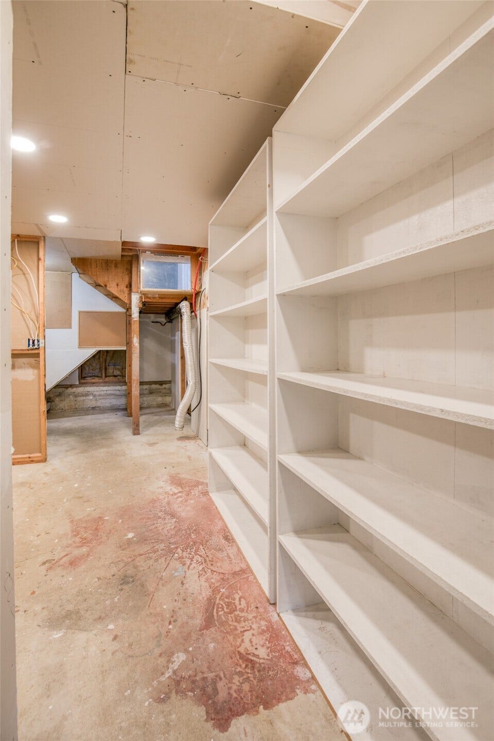 More basement pantry/storage space