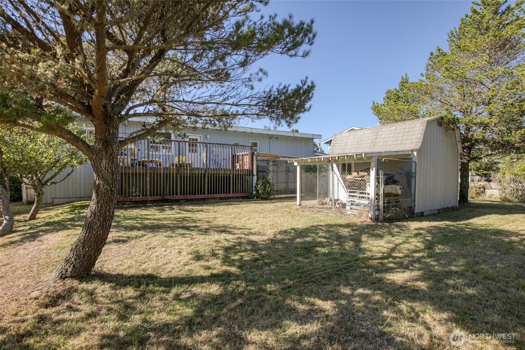 Back  Yard