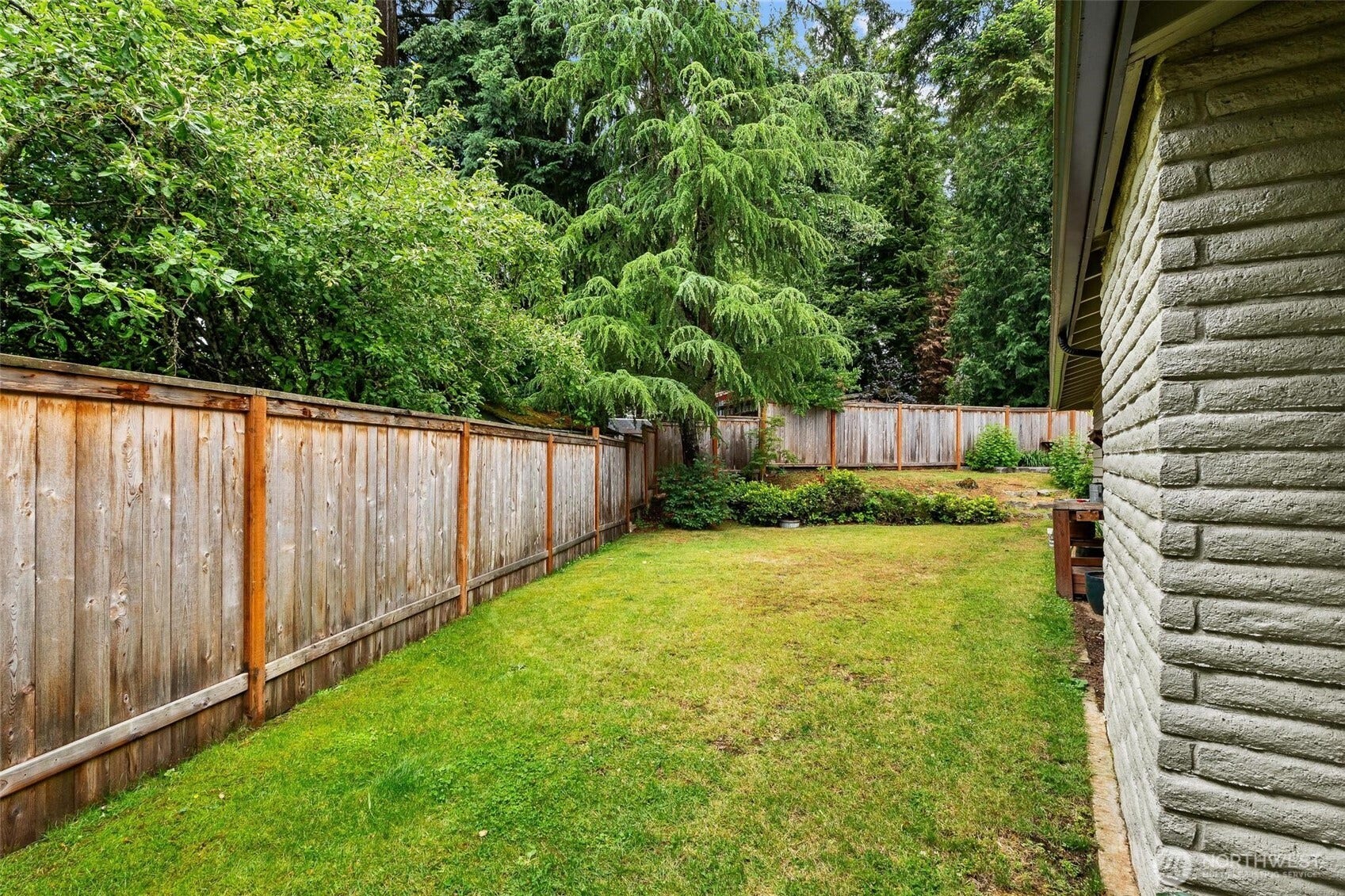 Left side yard