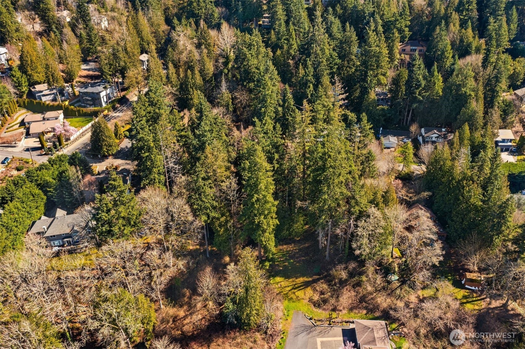 11 XX E Lake Sammamish Parkway NE, Sammamish, WA 98074 11 XX E Lake Sammamish Parkway NE, Sammamish, WA 98074