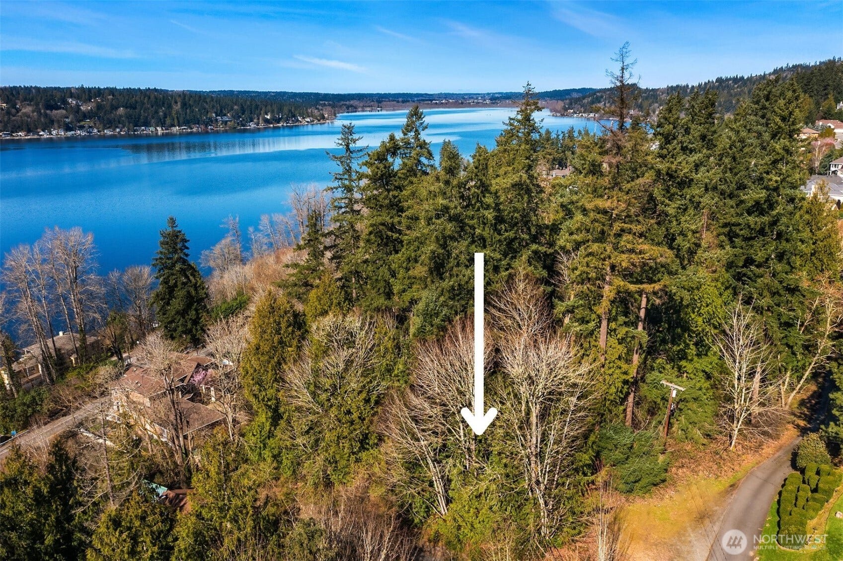 11 XX 205th Avenue NE, Sammamish, WA 98074 11 XX 205th Avenue NE, Sammamish, WA 98074