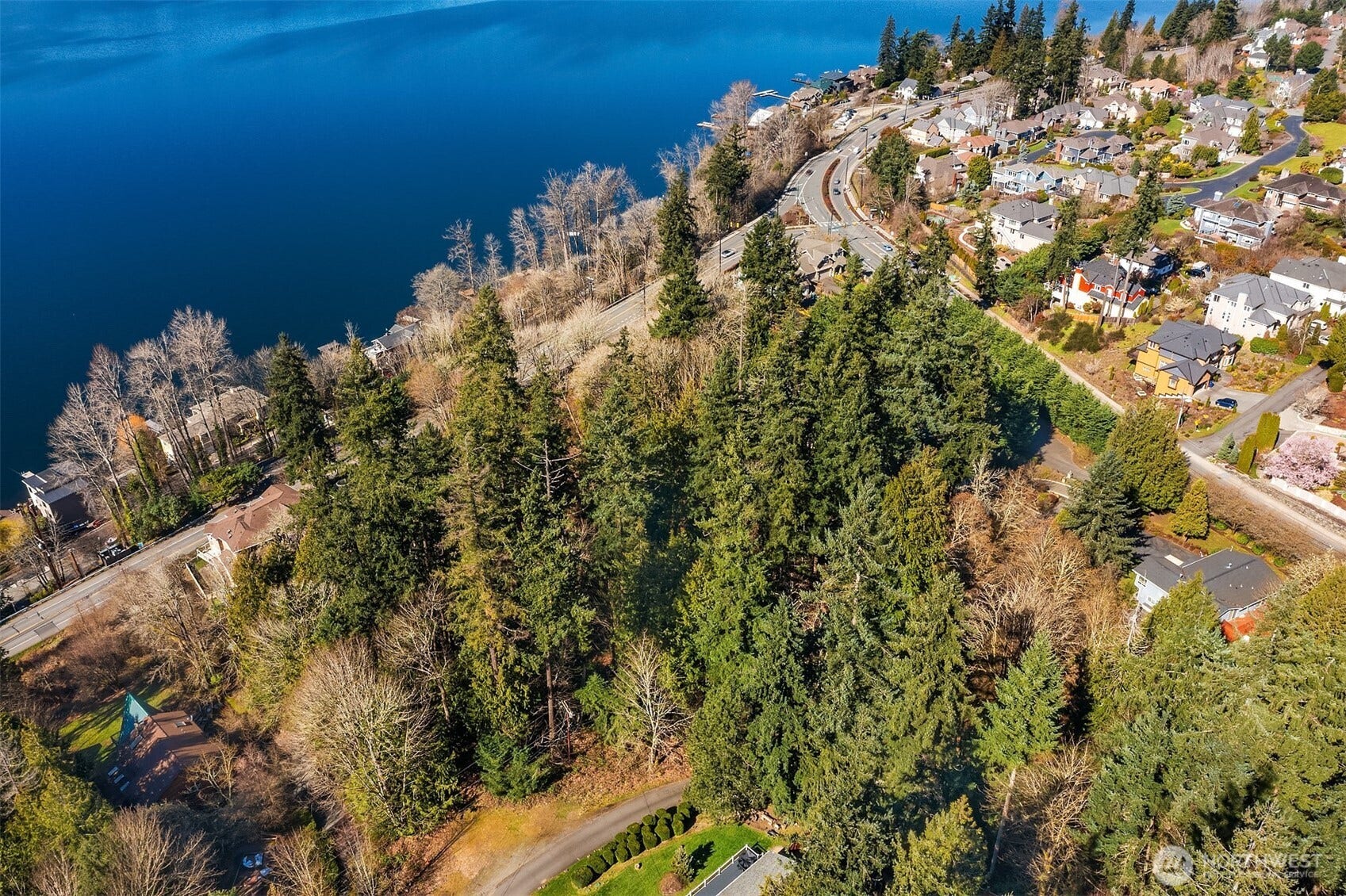 11 XX 205th Avenue NE, Sammamish, WA 98074 11 XX 205th Avenue NE, Sammamish, WA 98074