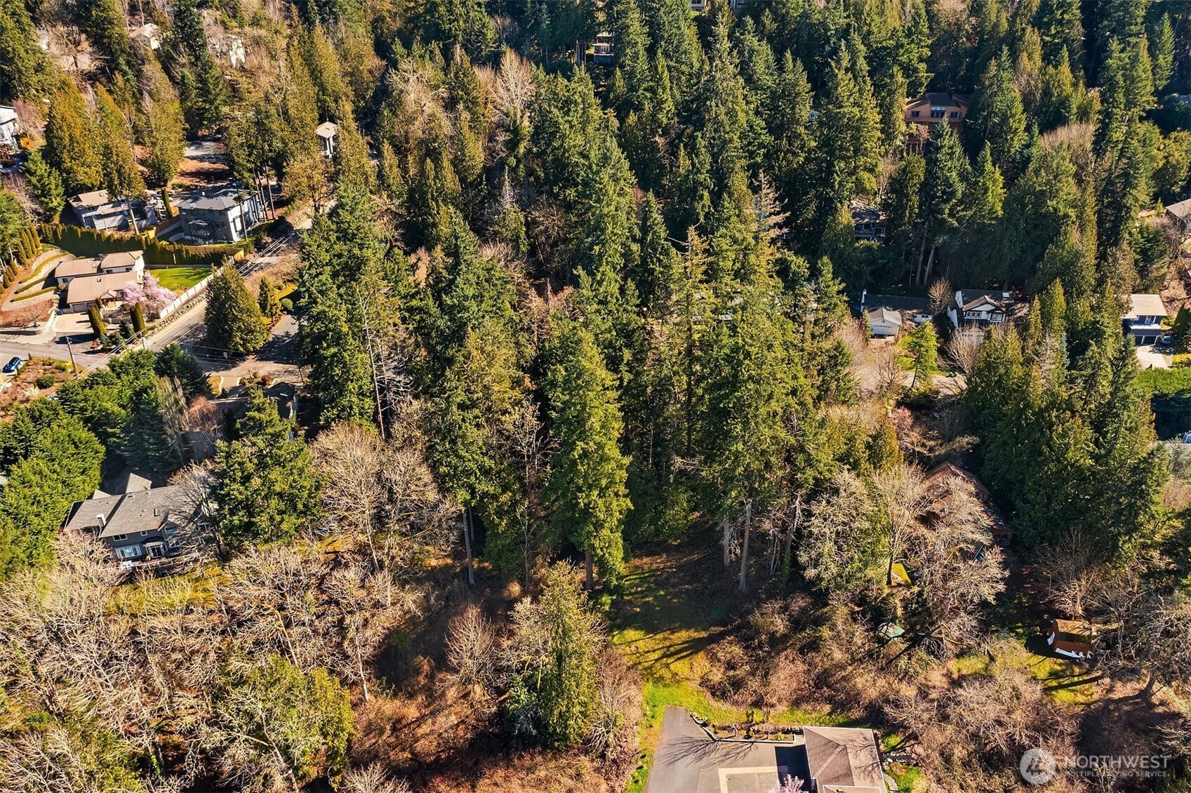 11 XX 205th Avenue NE, Sammamish, WA 98074 11 XX 205th Avenue NE, Sammamish, WA 98074