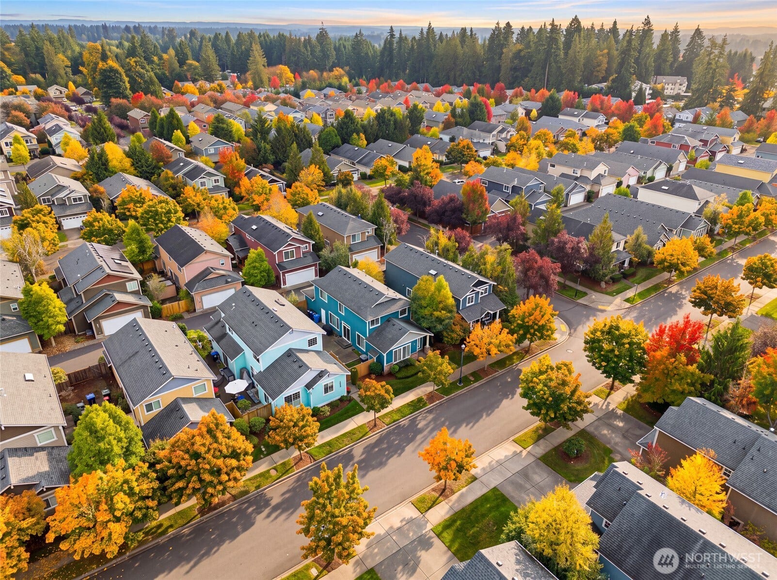 4628 Durham Street SE, Lacey, WA 98503 Bird's-eye view