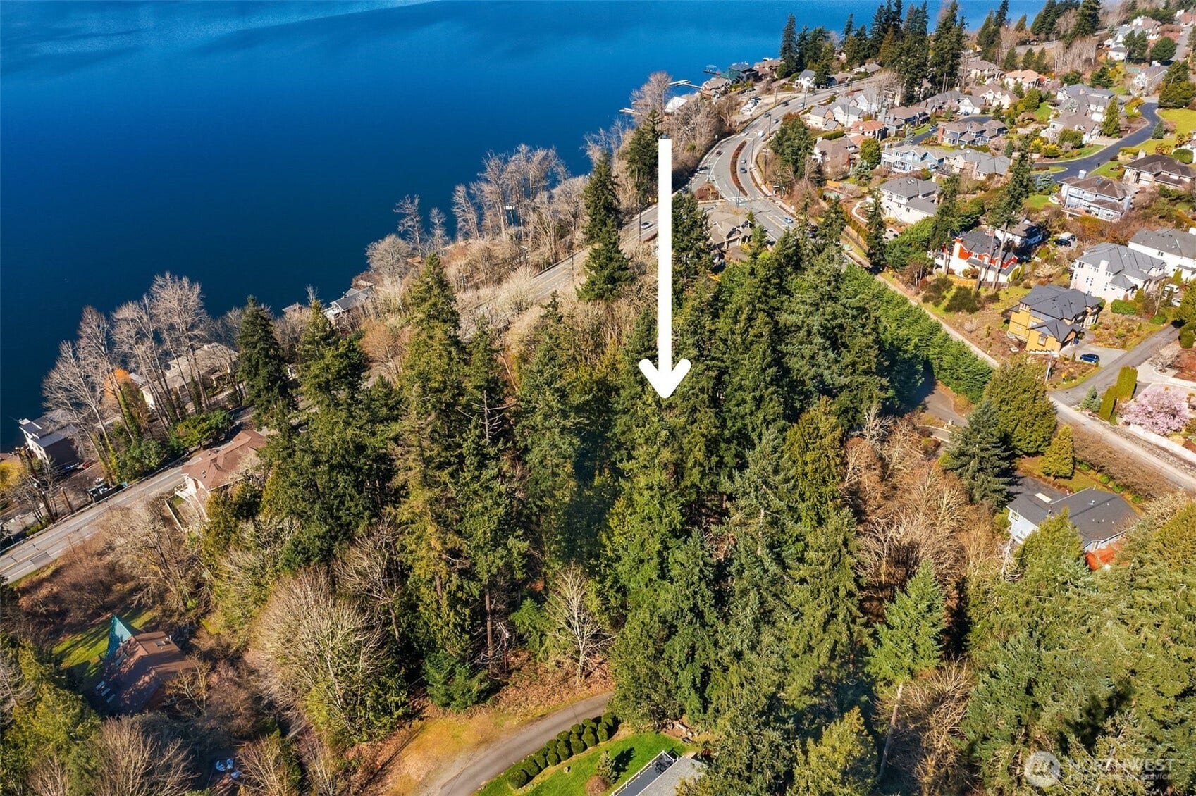 11 XX 205th Avenue NE, Sammamish, WA 98075 11 XX 205th Avenue NE, Sammamish, WA 98075