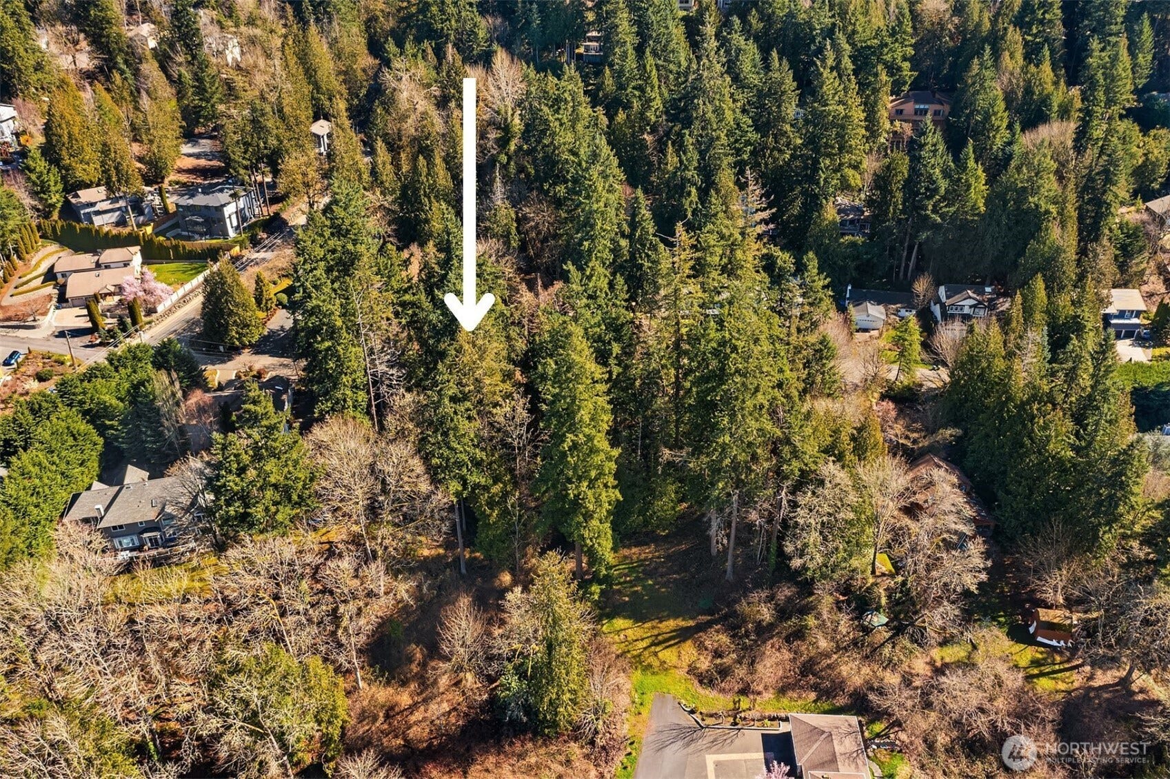 11 XX 205th Avenue NE, Sammamish, WA 98075 11 XX 205th Avenue NE, Sammamish, WA 98075