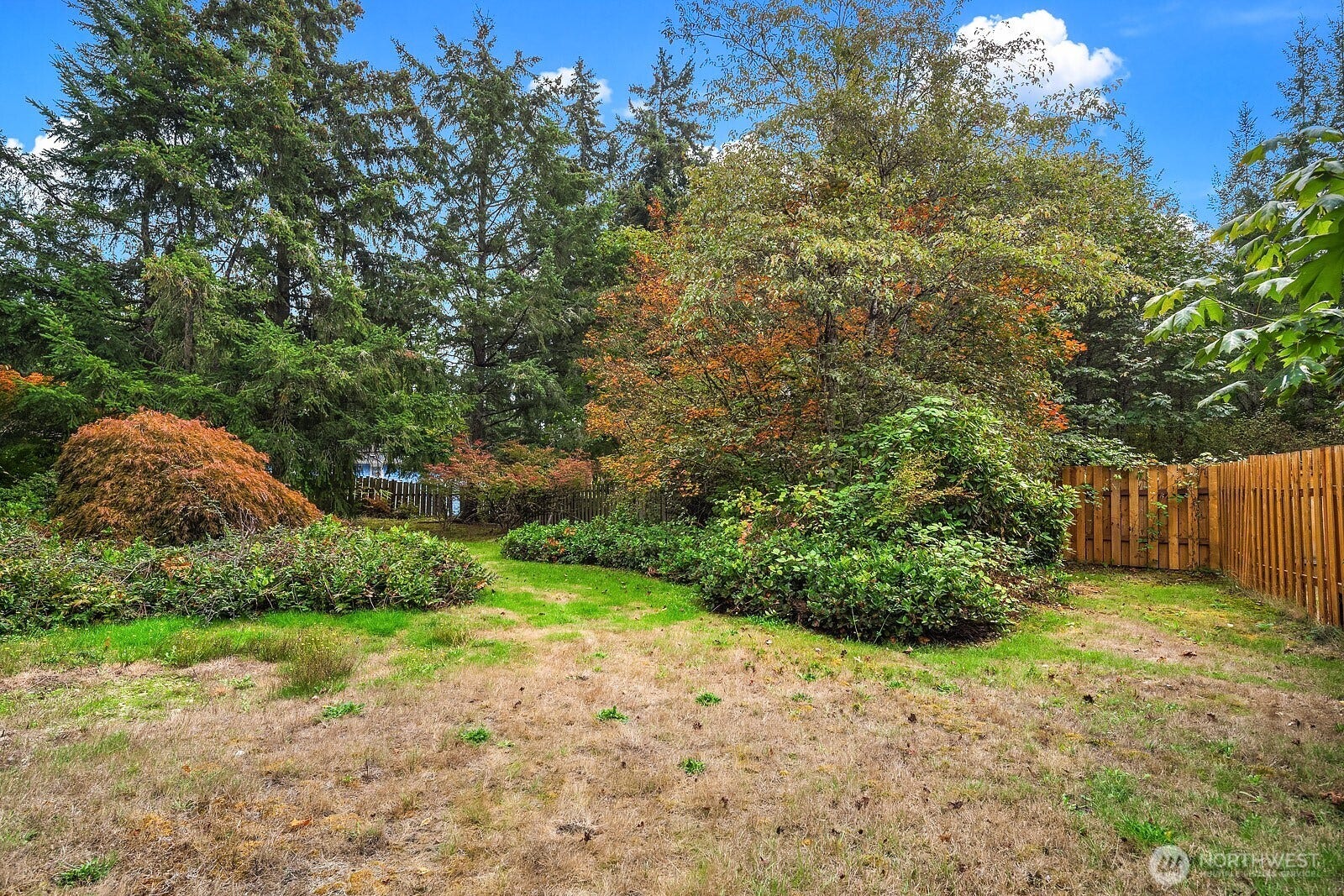 16169 SE 146th Place, Renton, WA 98059