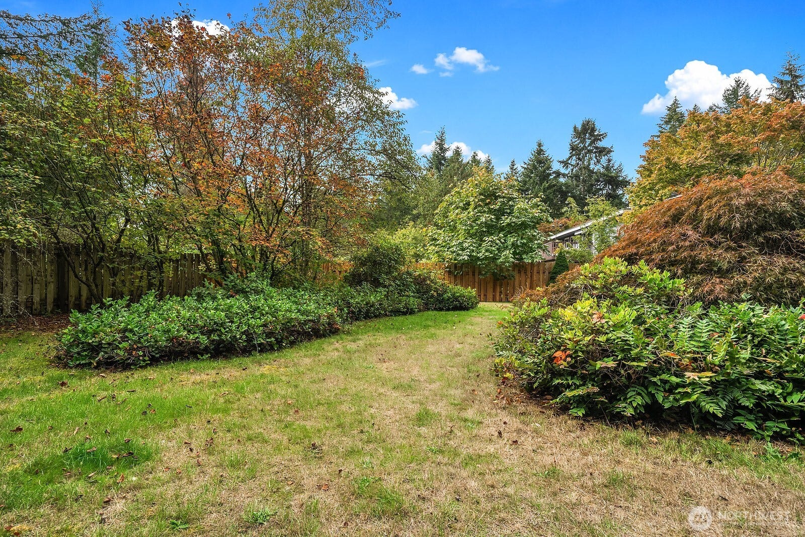16169 SE 146th Place, Renton, WA 98059