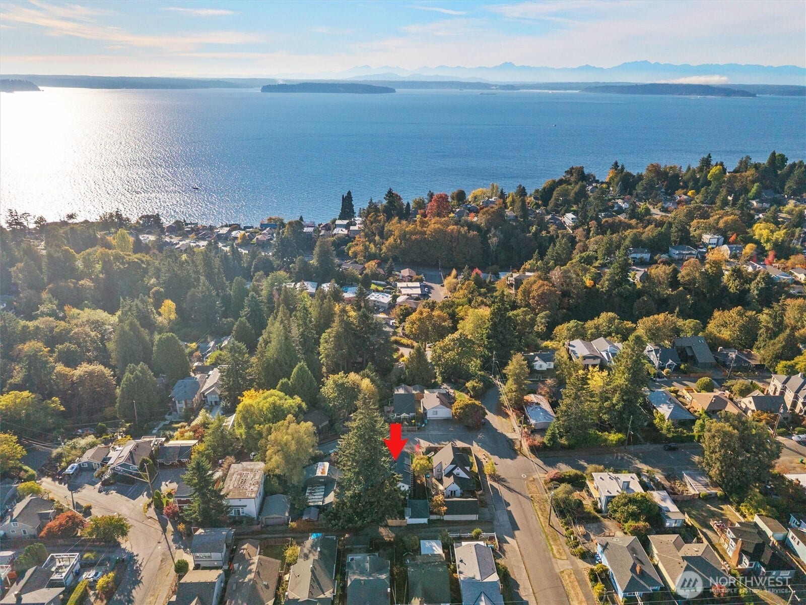 6706 Holly Place SW, Seattle, WA 98136 A really wonderful location in West Seattle's Gatewood neighborhood. Close proximity to Morgan Junction, Lincoln Park, and Fauntleroy Ferry.