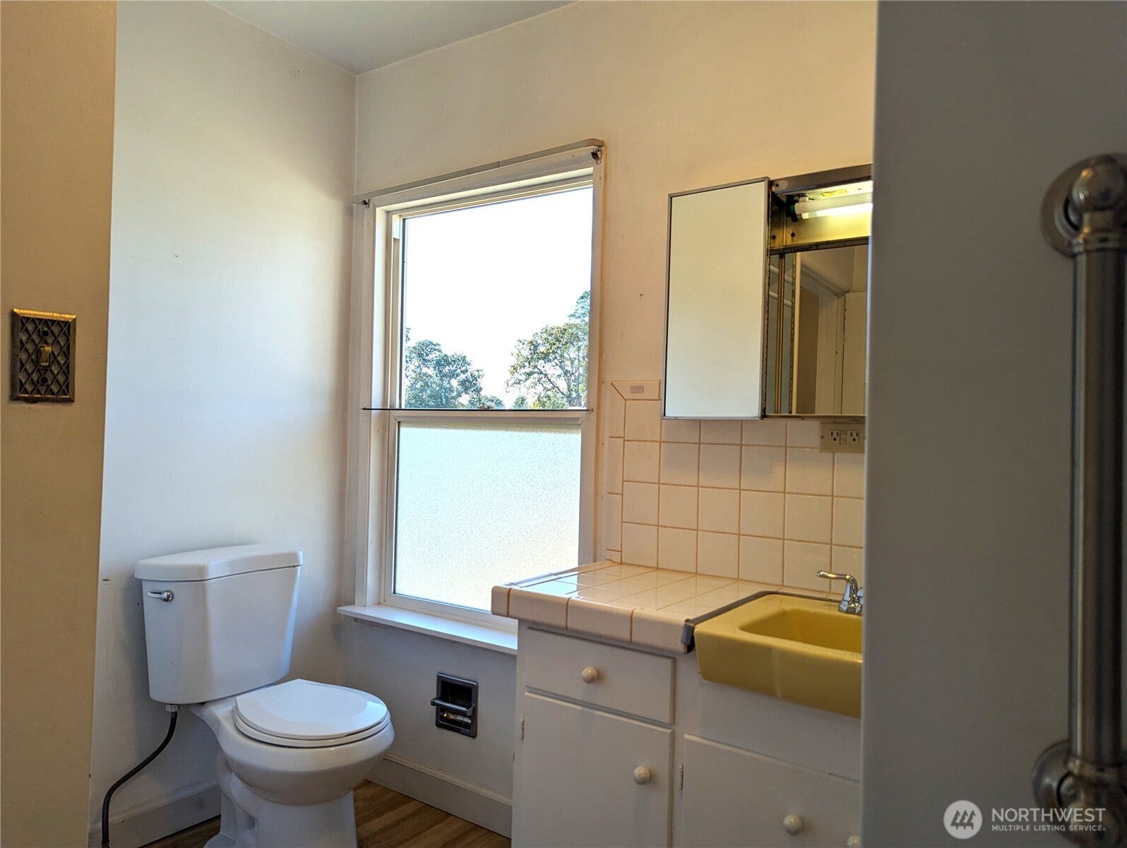 201 Brandywine Avenue, Dupont, WA 98327 New toilet in 2023