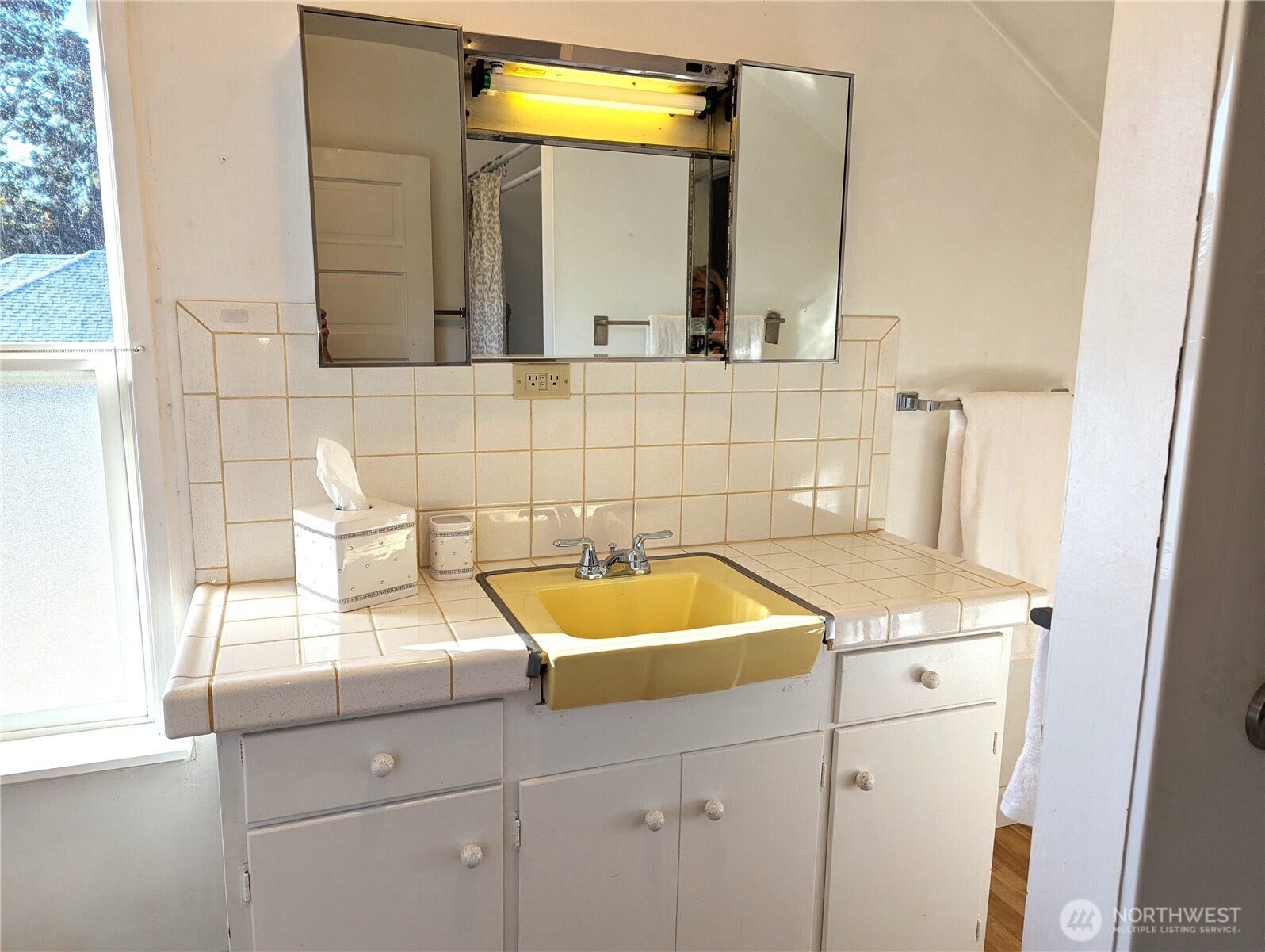 201 Brandywine Avenue, Dupont, WA 98327 Upstairs bath updated in 2023 with new plumbing