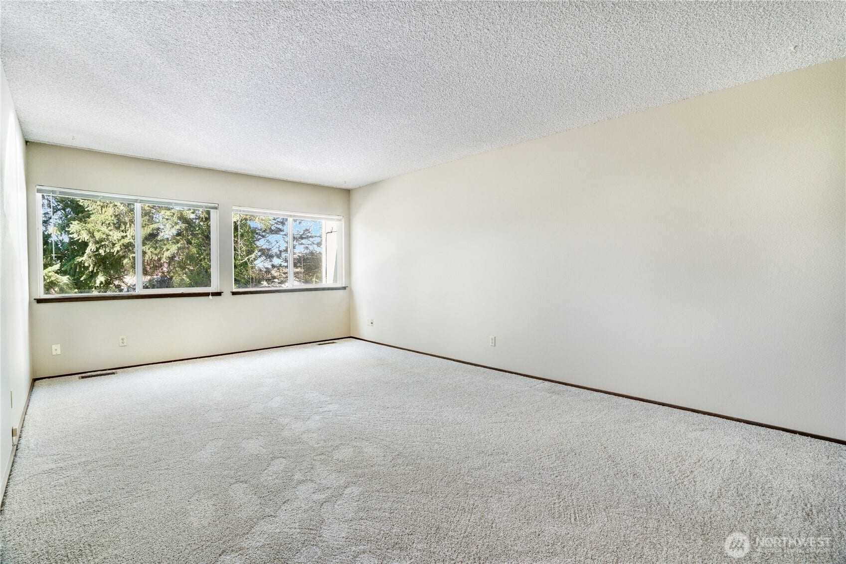 Large Living Room