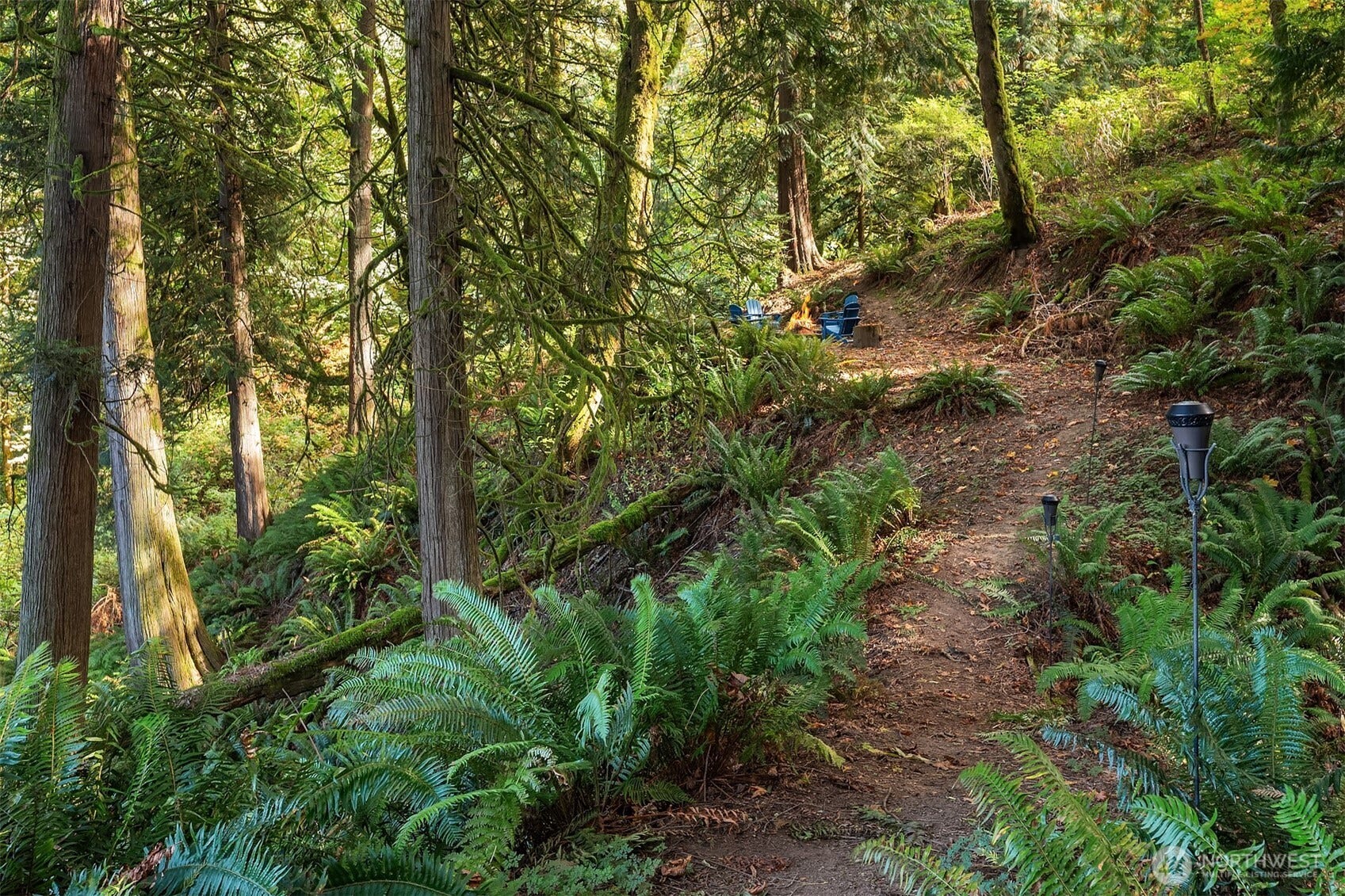 12824 141st Place SE, Snohomish, WA 98290 Your own hiking or biking trail just outside of your back door. With additional easy access to the Lord Hill park.