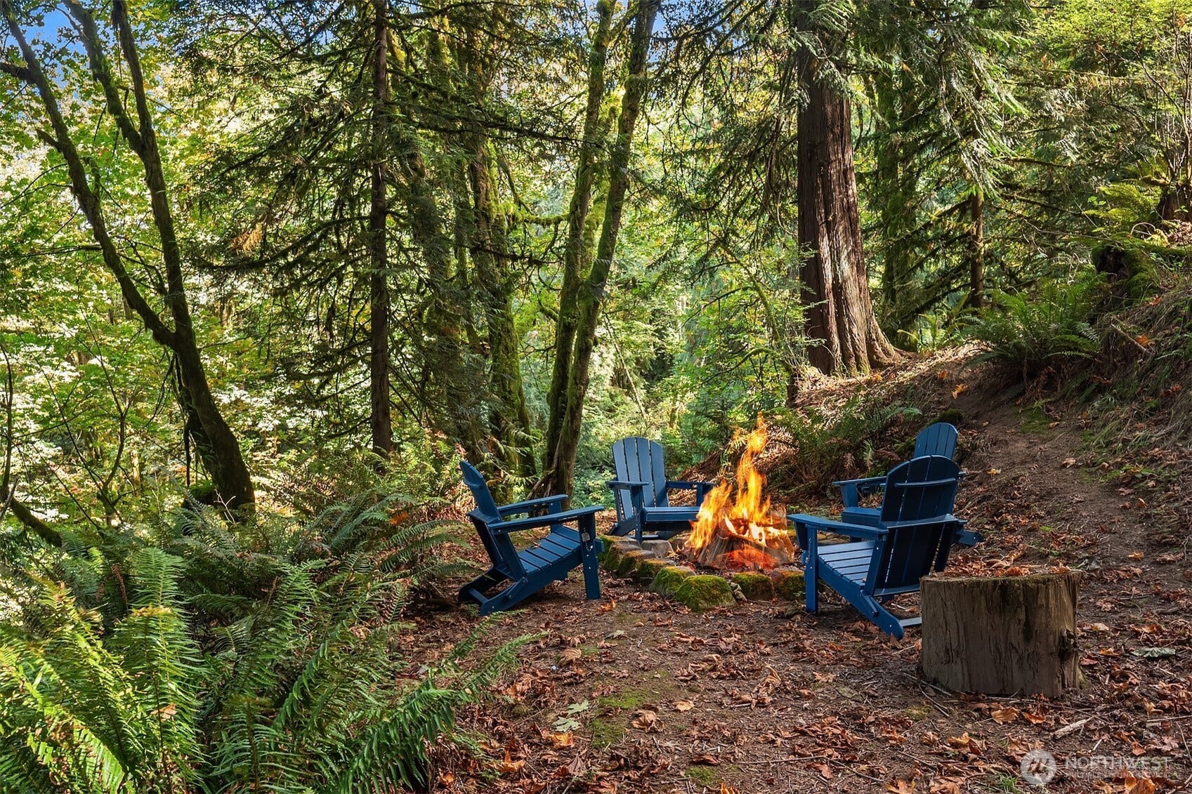 12824 141st Place SE, Snohomish, WA 98290 Everyone loves gathering around the fire pit for a day at home with family and friends.