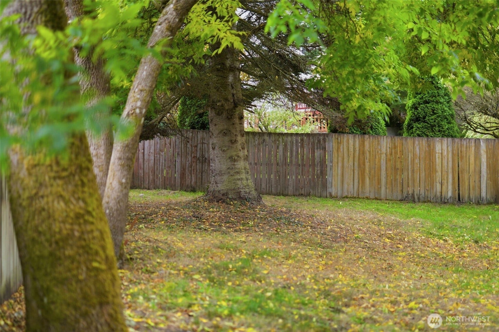1309 Scarlet Oak Drive SE, Lacey, WA 98503 1309 Scarlet Oak Drive SE, Lacey, WA 98503