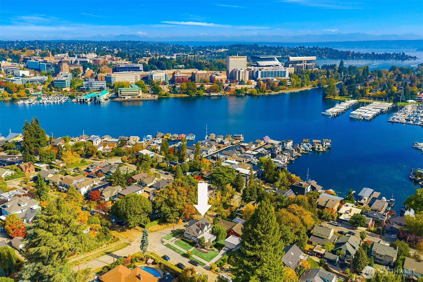 1103 E Hamlin Street, Seattle, WA 98102