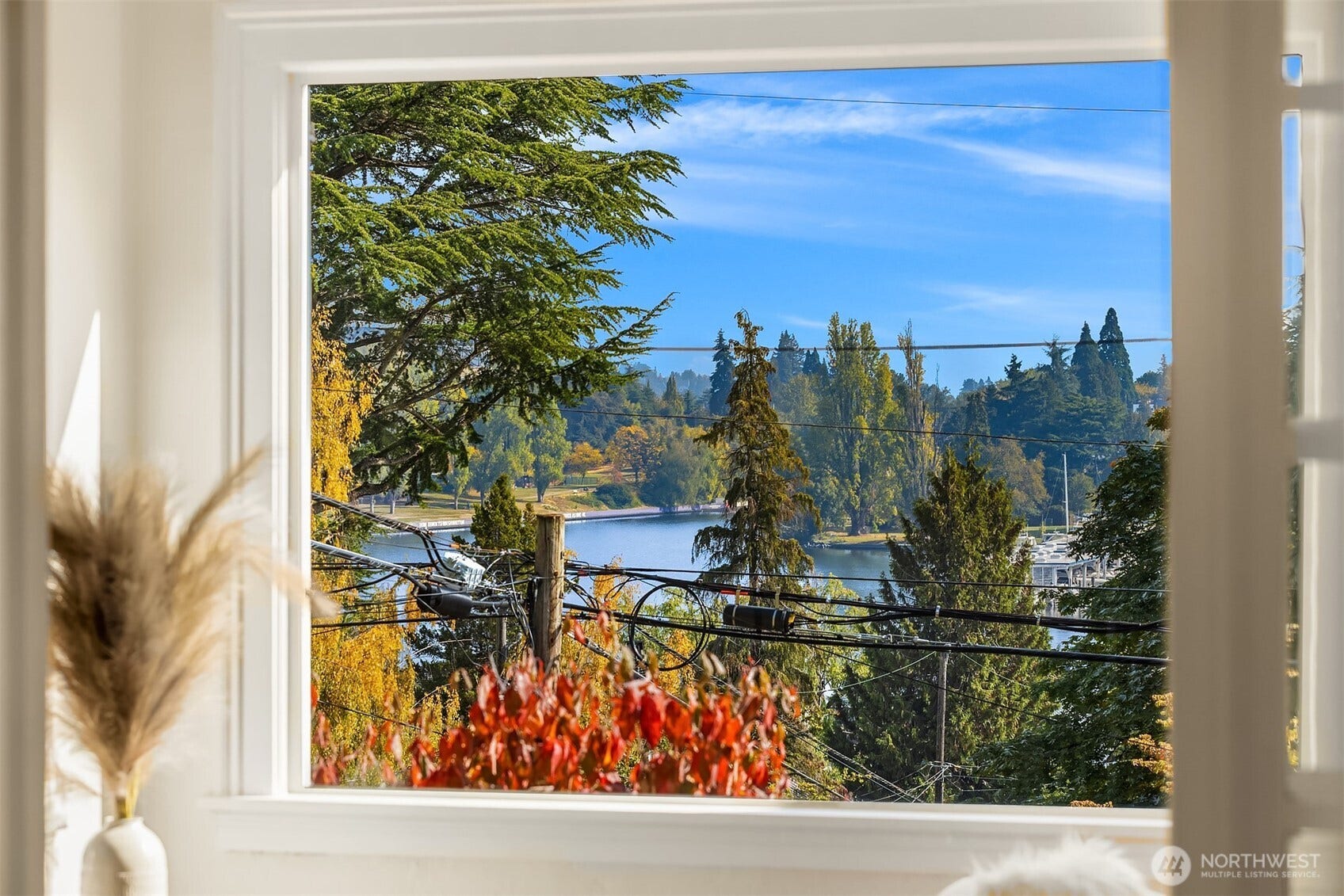 1103 E Hamlin Street, Seattle, WA 98102