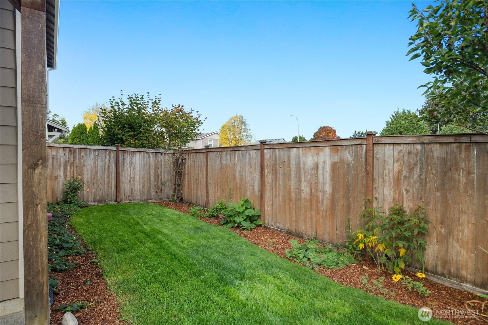 7040 Desperado Drive SE, Tumwater, WA 98501 Side yard