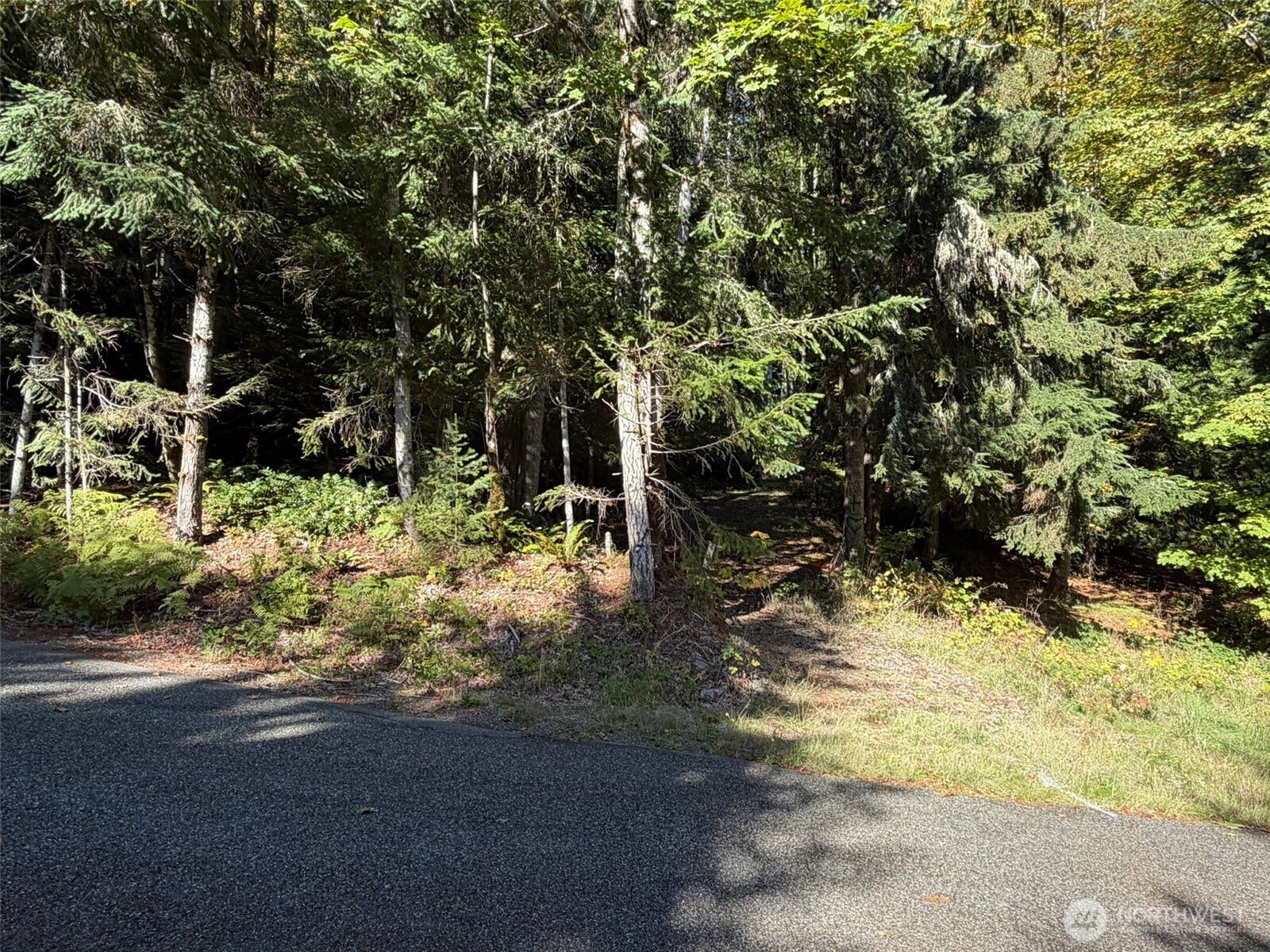 420 Arabian Drive, Brinnon, WA 98320 420 Arabian Drive, Brinnon, WA 98320