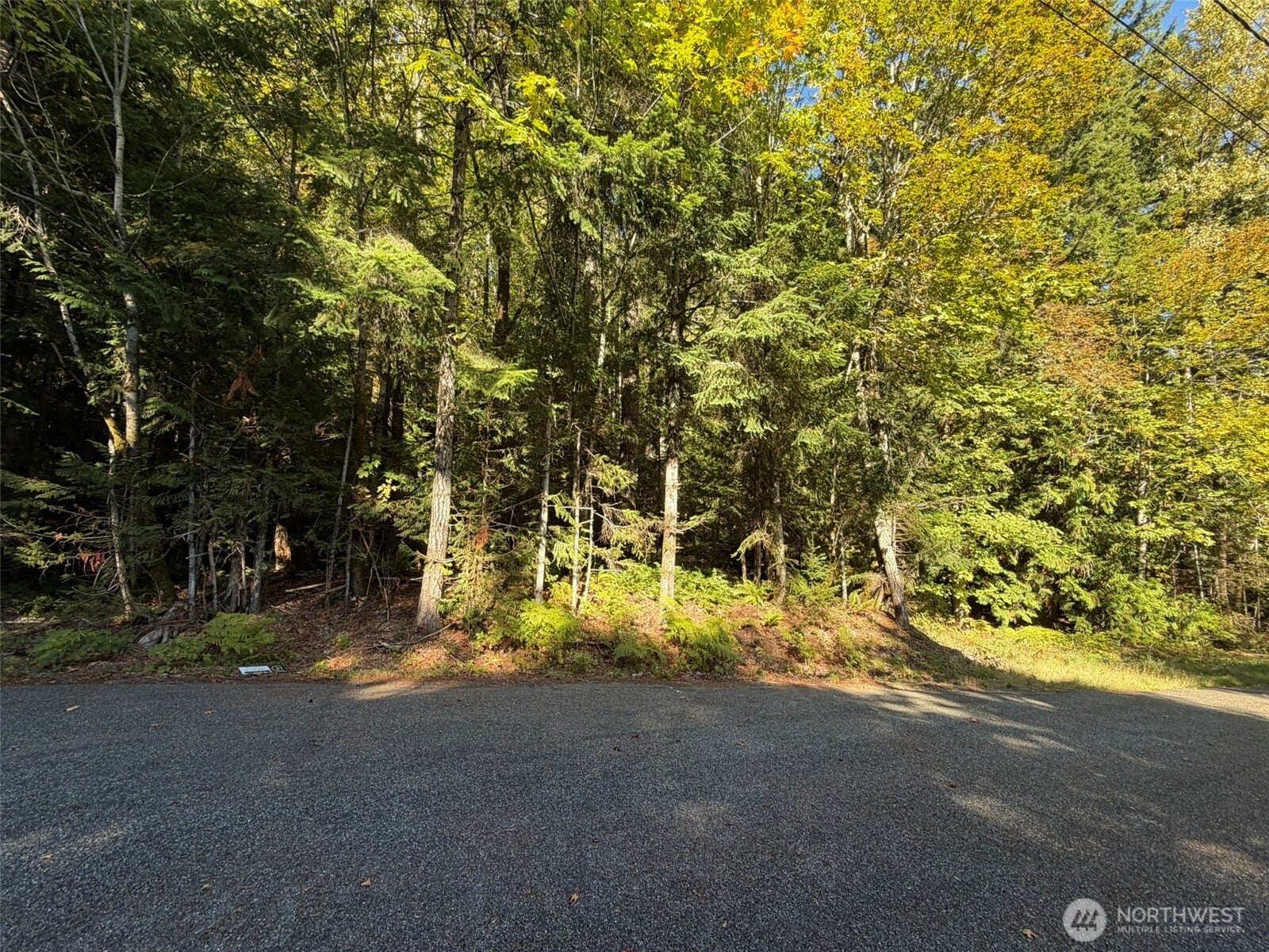 420 Arabian Drive, Brinnon, WA 98320 420 Arabian Drive, Brinnon, WA 98320