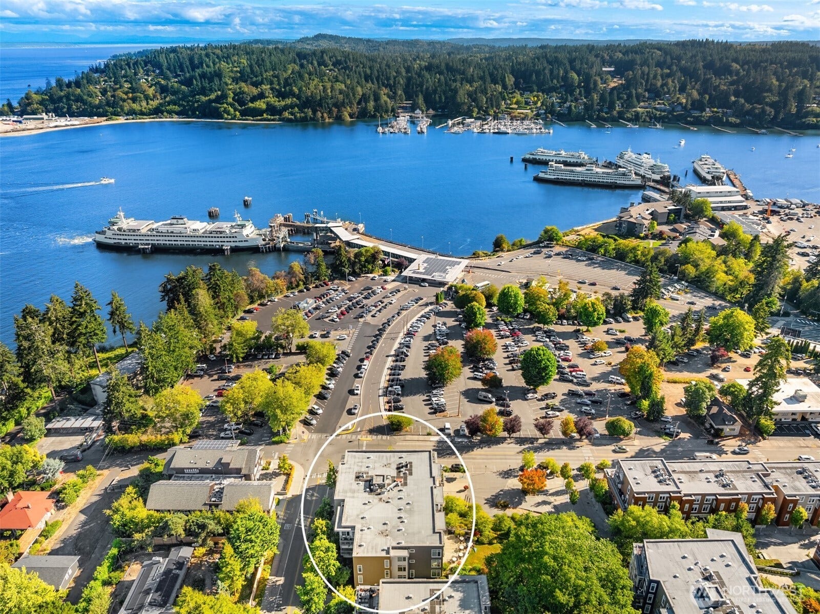 125 Ferncliff Avenue NE, #E242, Bainbridge Island, WA 98110 125 Ferncliff Avenue NE, #E242, Bainbridge Island, WA 98110