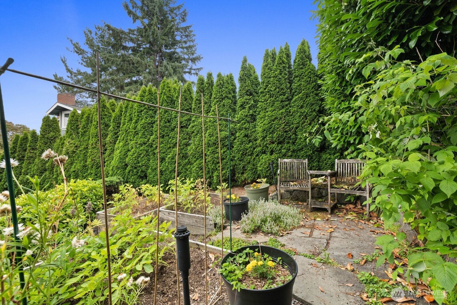 1525 36th Avenue S, Seattle, WA 98144 1525 36th Avenue S, Seattle, WA 98144