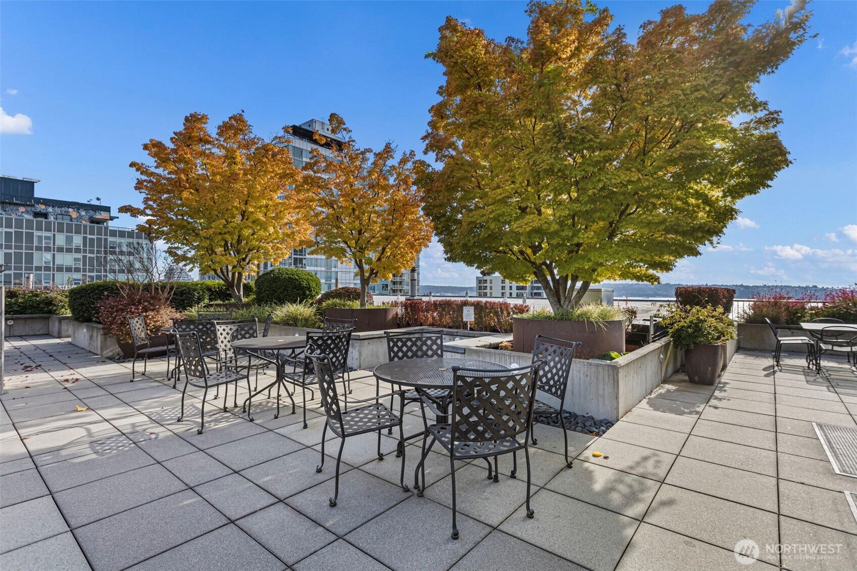 Beautiful rooftop common area.