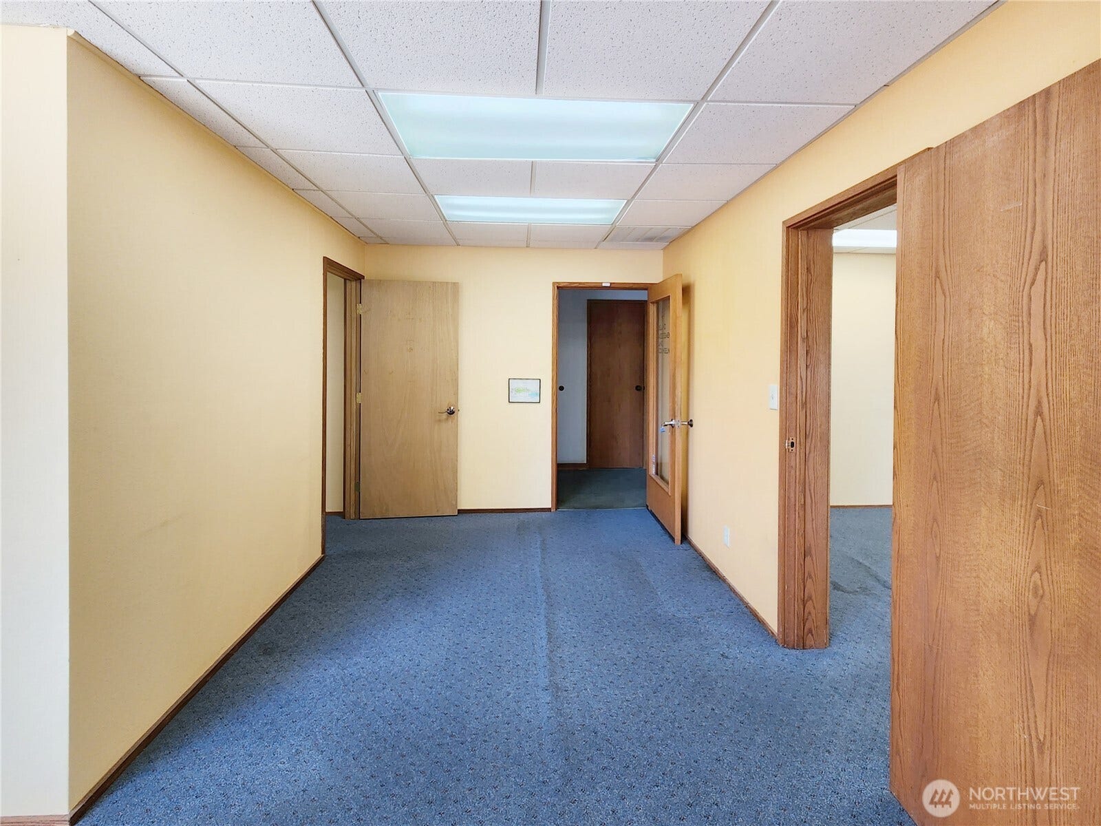 520 E Whidbey Avenue, #205, Oak Harbor, WA 98277 520 E Whidbey Avenue, #205, Oak Harbor, WA 98277