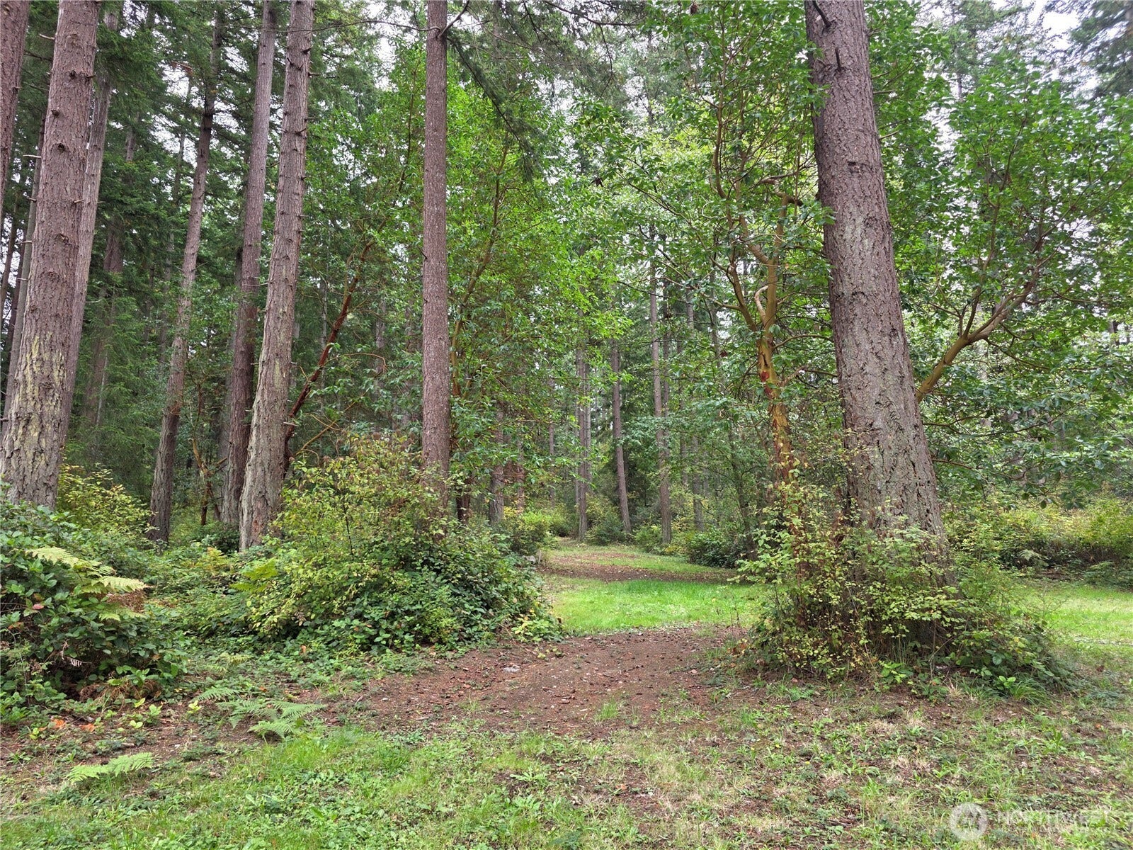 167 Barnum Point Road, Camano Island, WA 98282 167 Barnum Point Road, Camano Island, WA 98282
