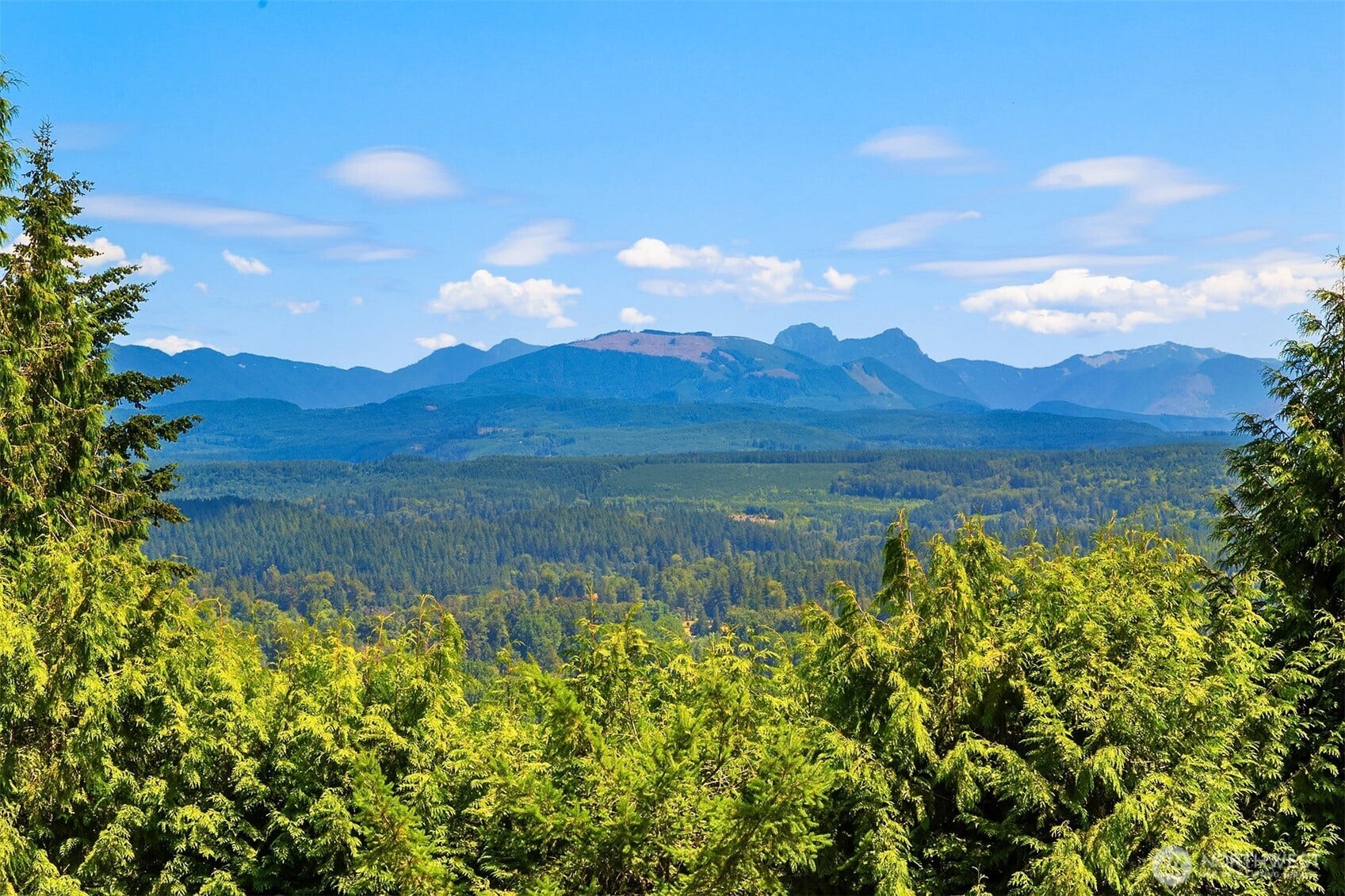 1247 293rd Avenue NE, Carnation, WA 98014 Come see the views of the Cascades.