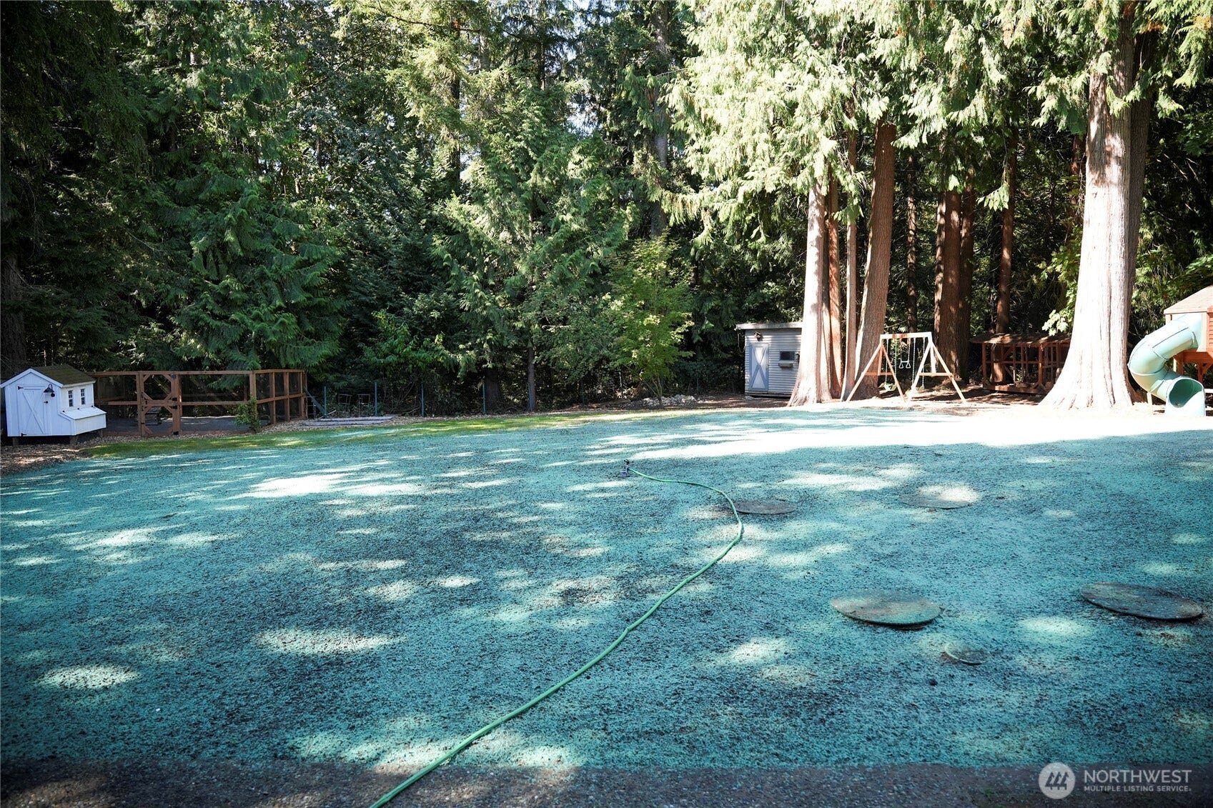 1247 293rd Avenue NE, Carnation, WA 98014 New Hydroseed after septic replacements.