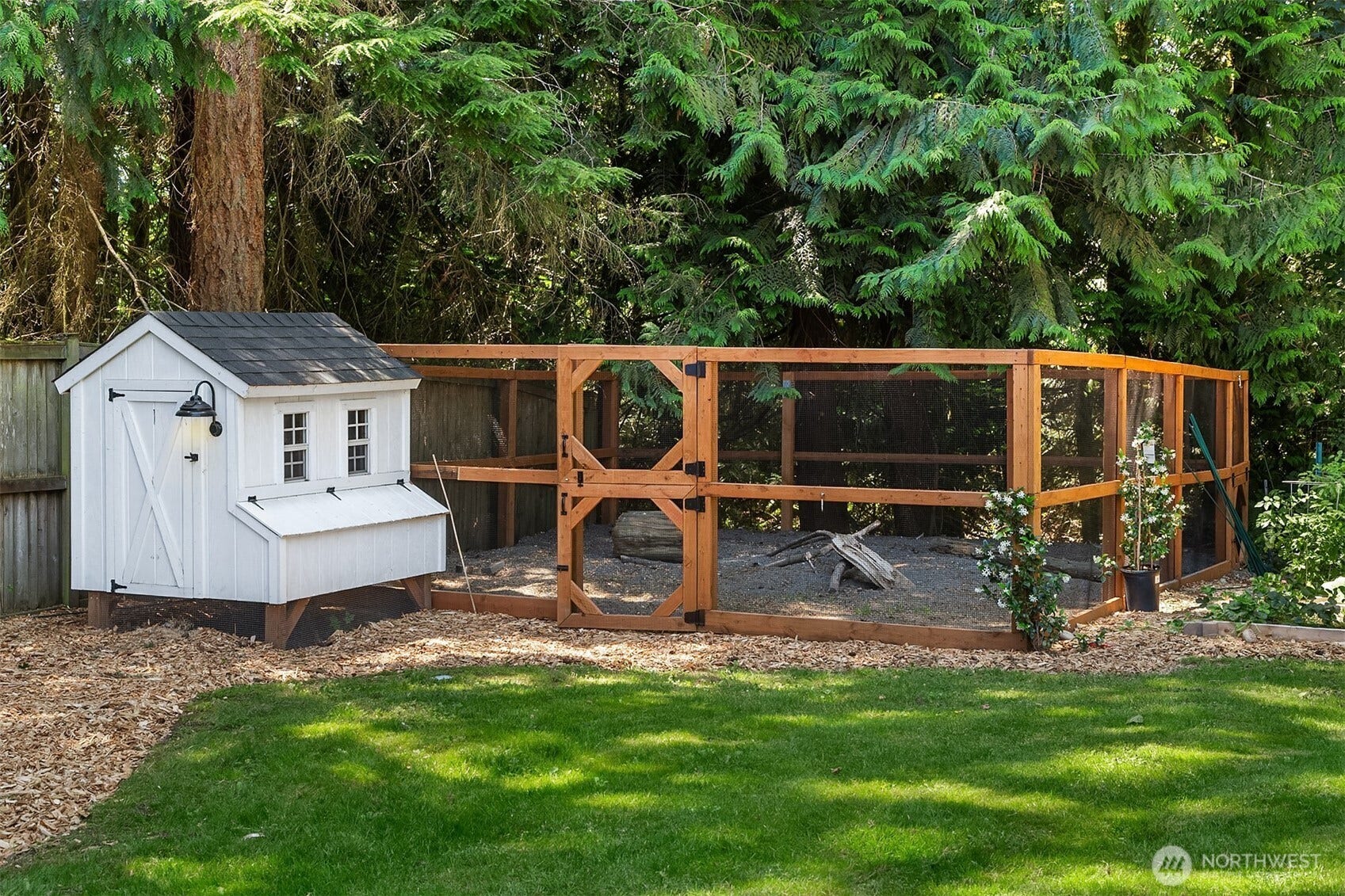 1247 293rd Avenue NE, Carnation, WA 98014 Chicken coop area.