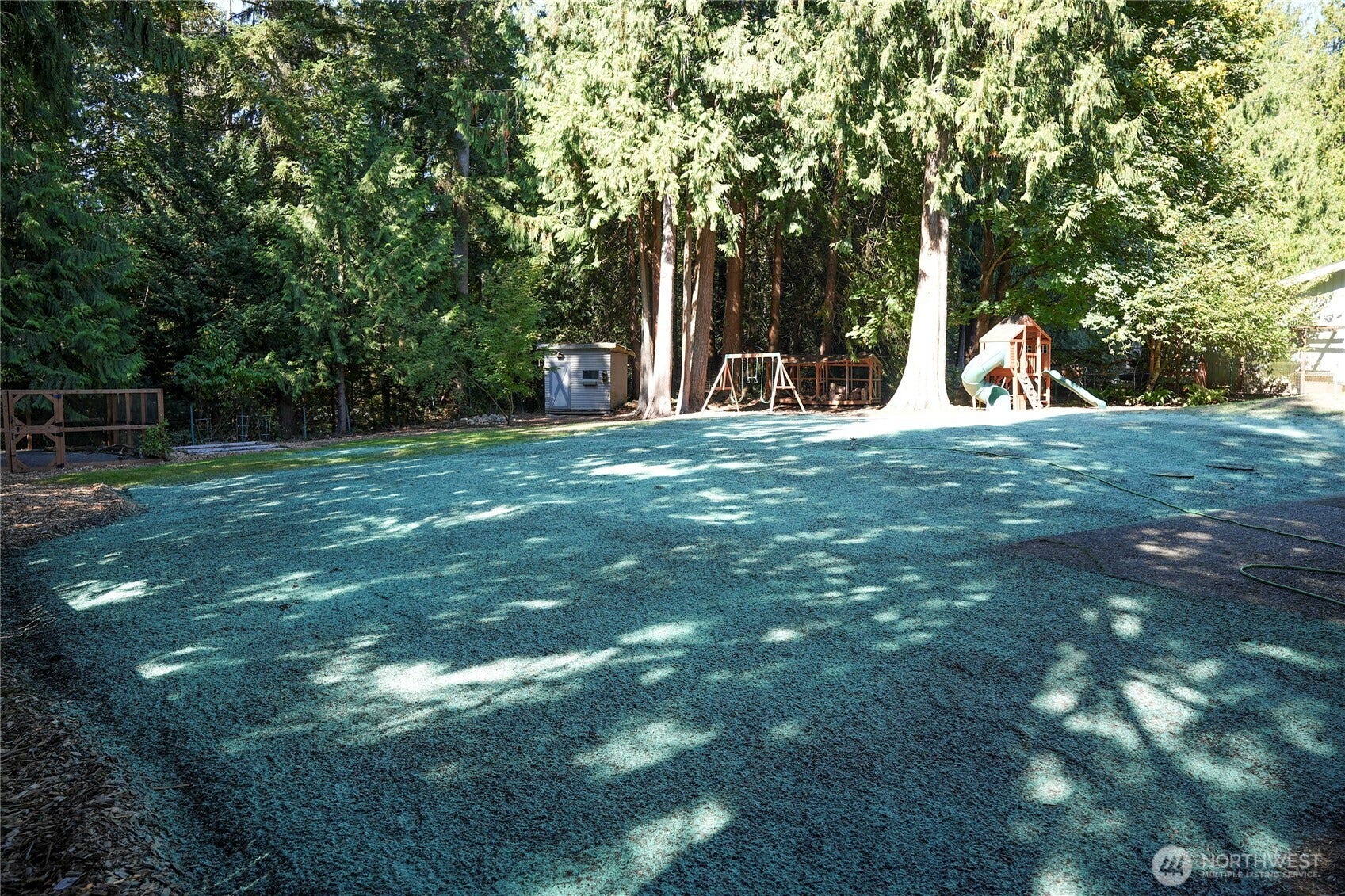 1247 293rd Avenue NE, Carnation, WA 98014 New Hydroseed after septic replacements.