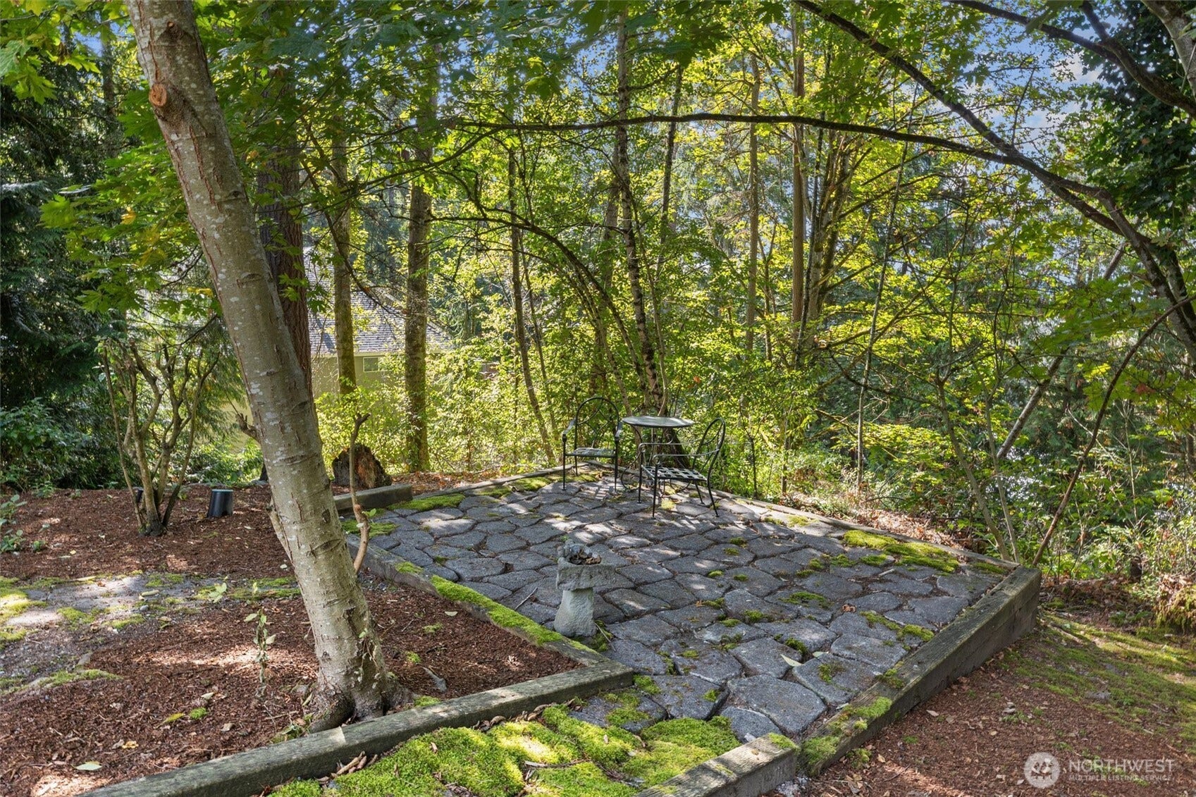 19141 148th Avenue NE, Woodinville, WA 98072 A canopy of trees in a back patio area