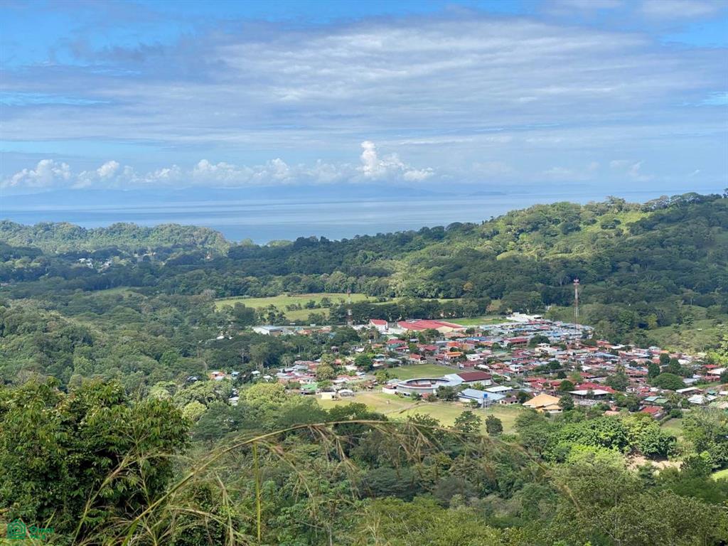 Quebrada Ganado Puntarenas