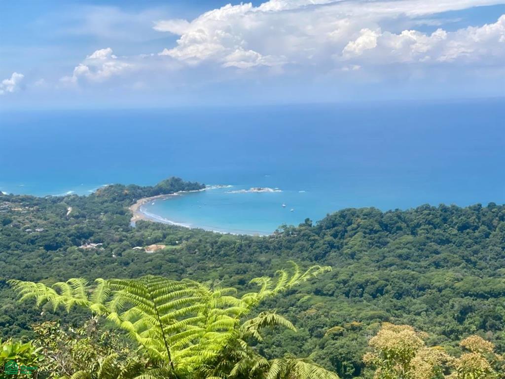 Sn Dominical Puntarenas