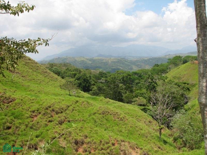 Fila Negra En Quebrada Amarilla San Jose