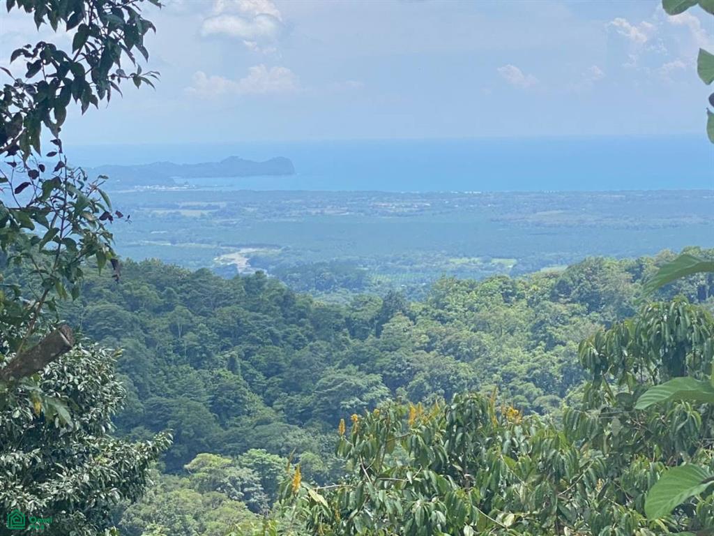Sn Puntarenas