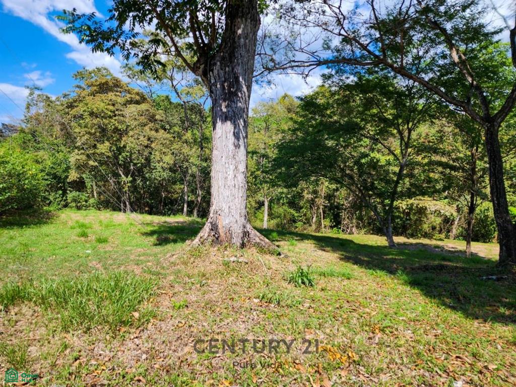 Quinta Mariposas San Mateo Alajuela