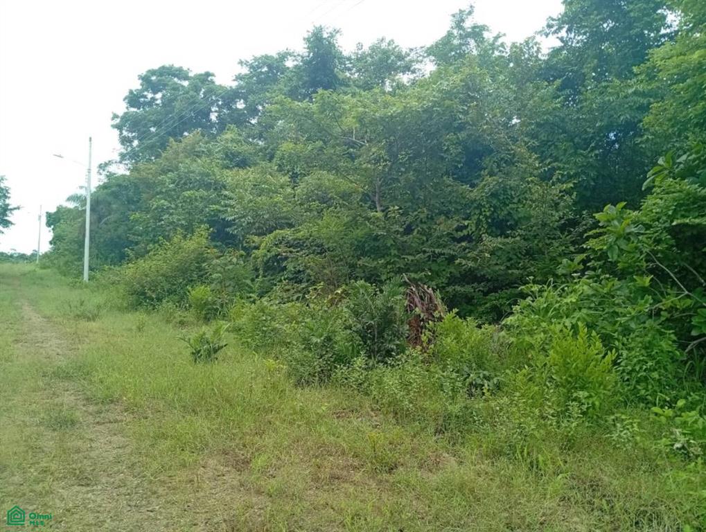 Eco Reserva Bajamar Puntarenas